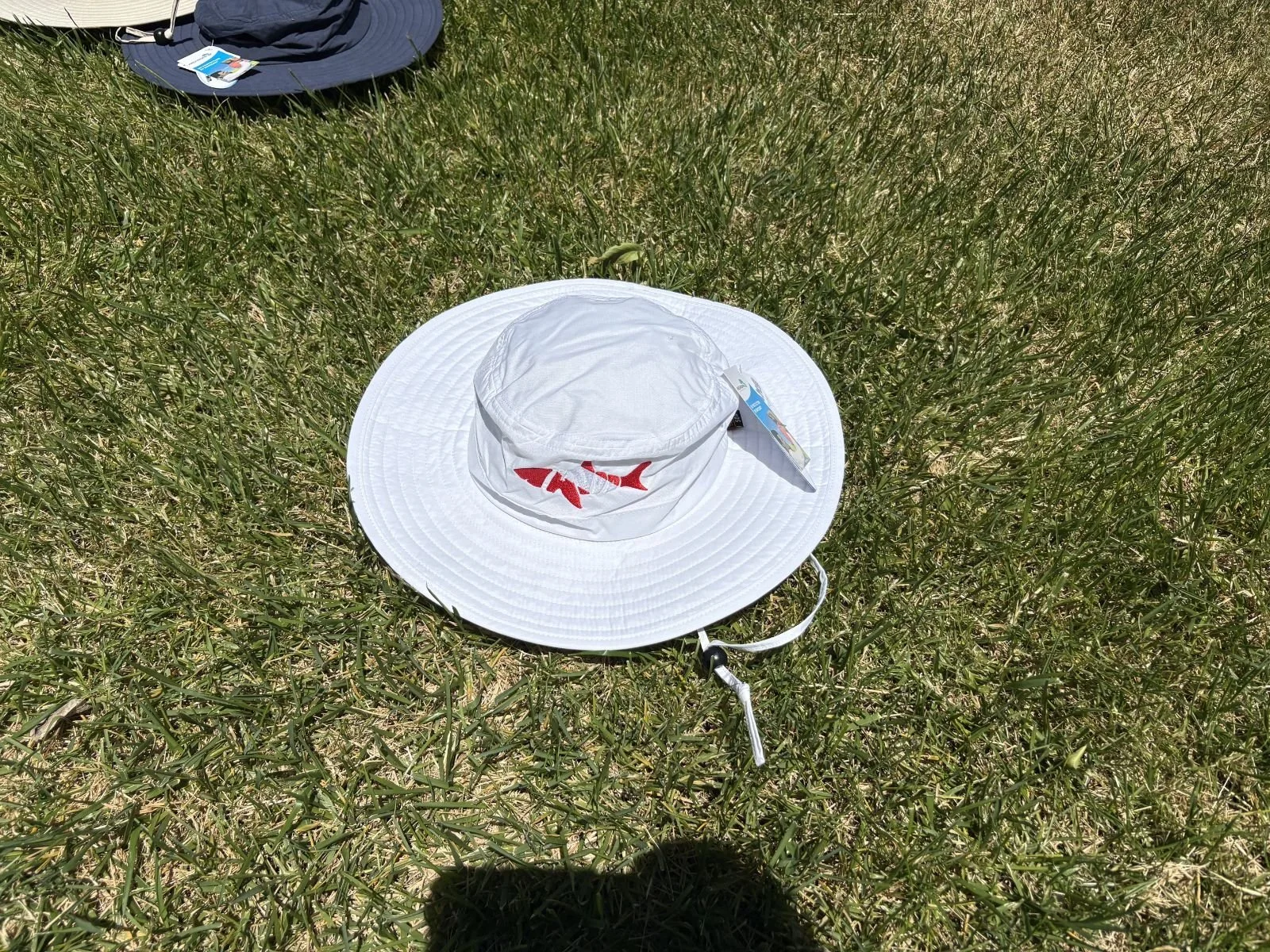 IMG_20260508_150658.jpeg