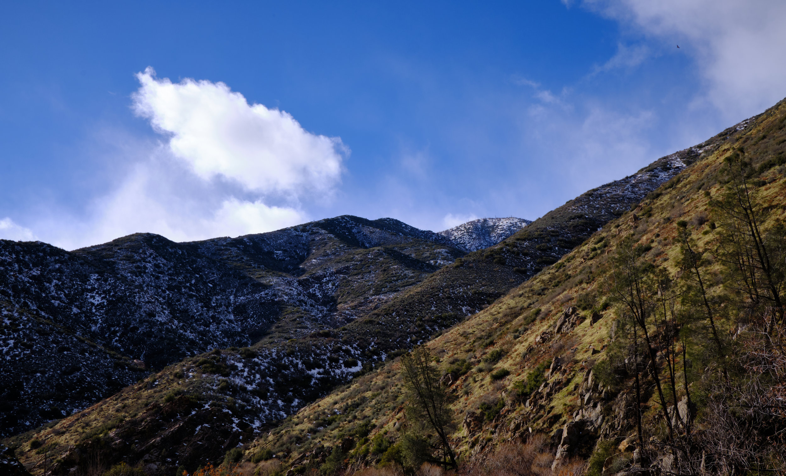  Fujifilm X-Pro2 and 23mm f/2. Taken in Sequoia National Forest, California. 