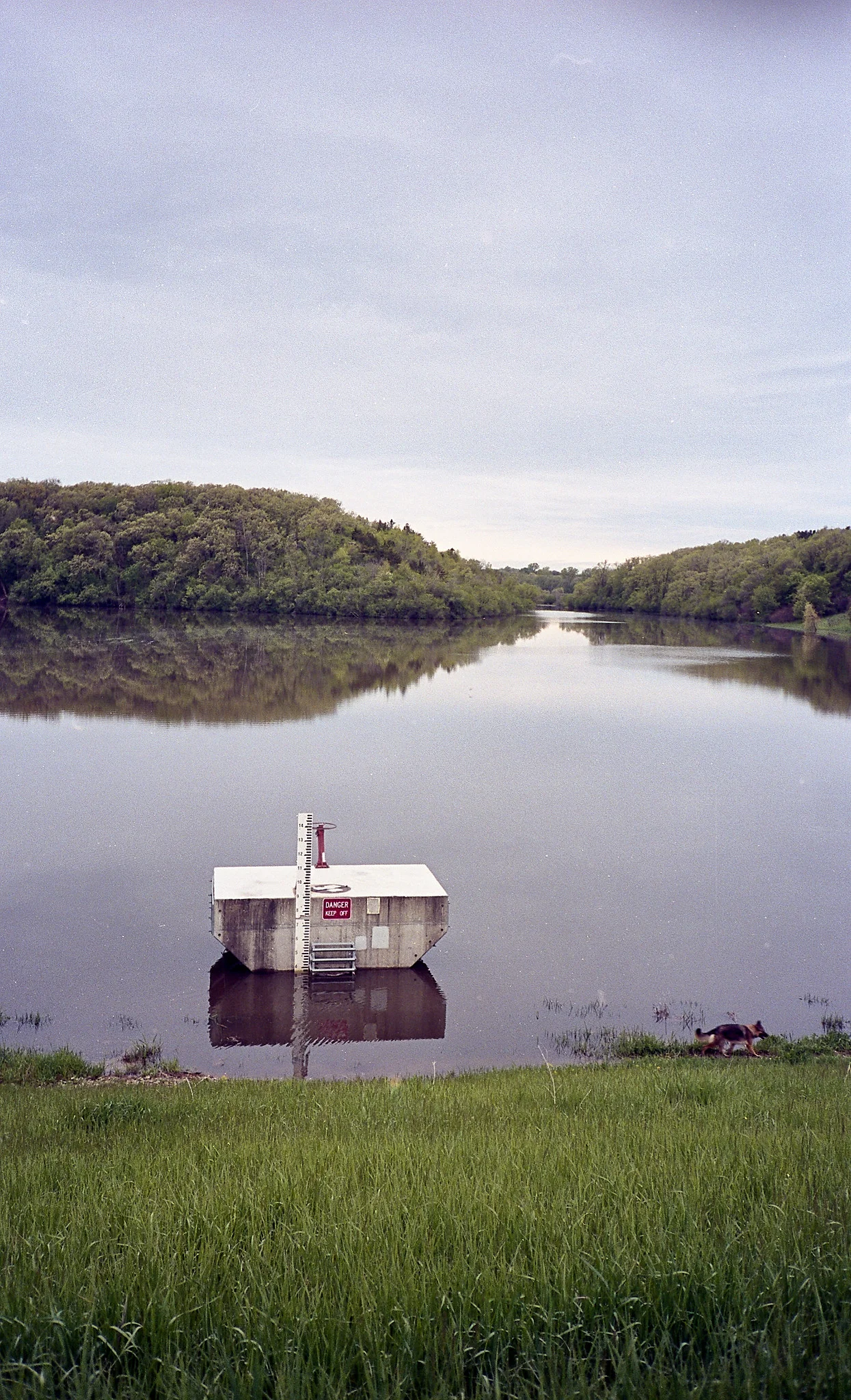 Kodak Portra 400, lake after the rain. Featuring Miah in her constant state of movement.