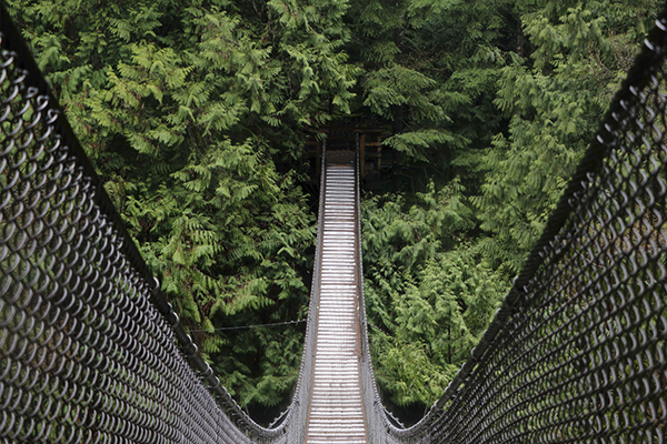 lynn canyon.png