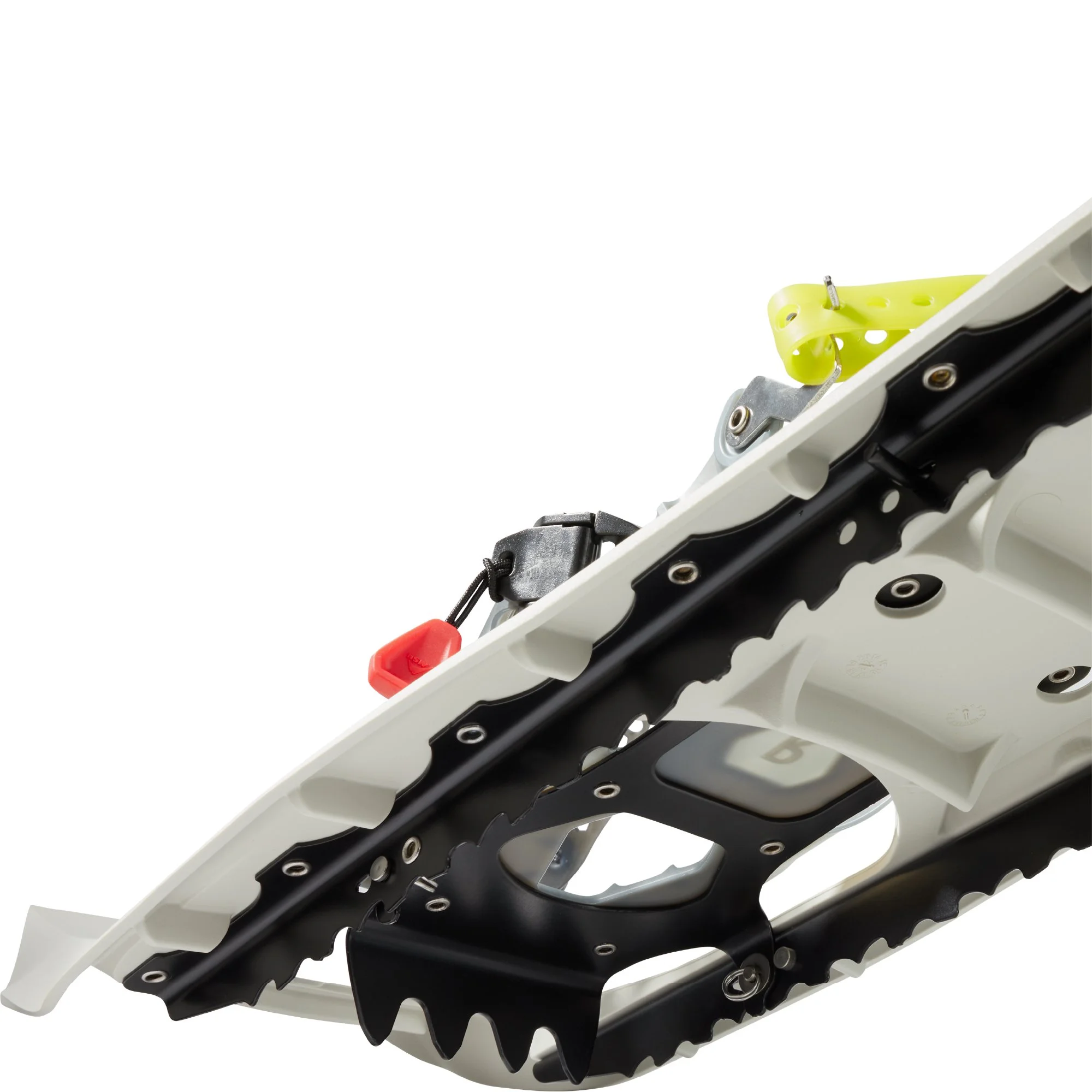 EvoExploreSnowshoes_W3.jpg