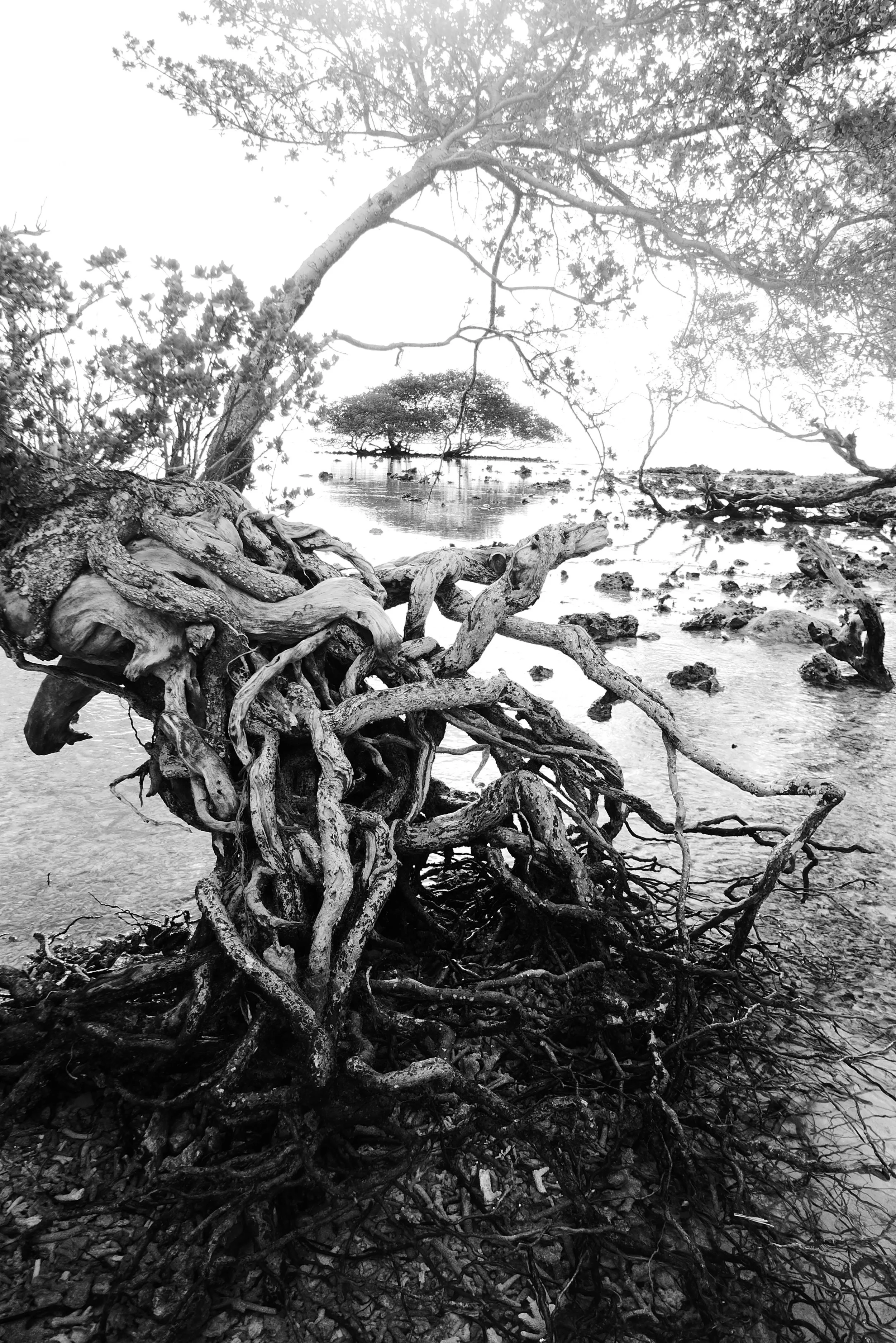 The present and the memory