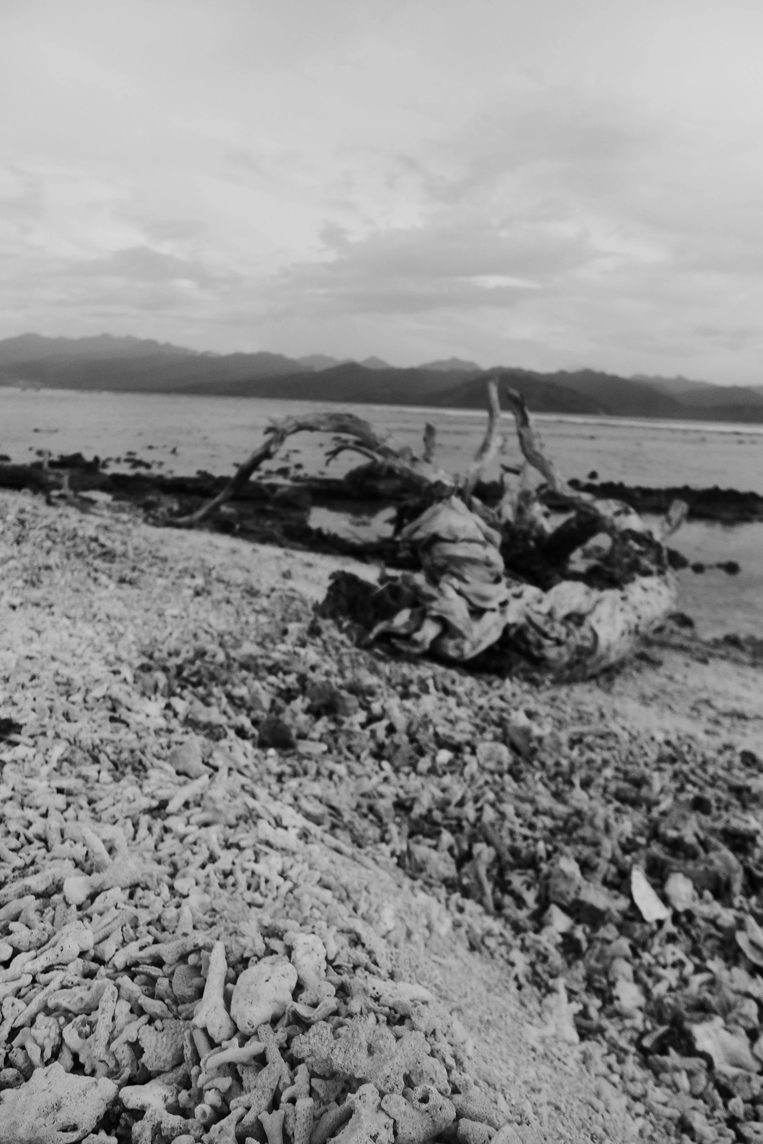 The grave yard
