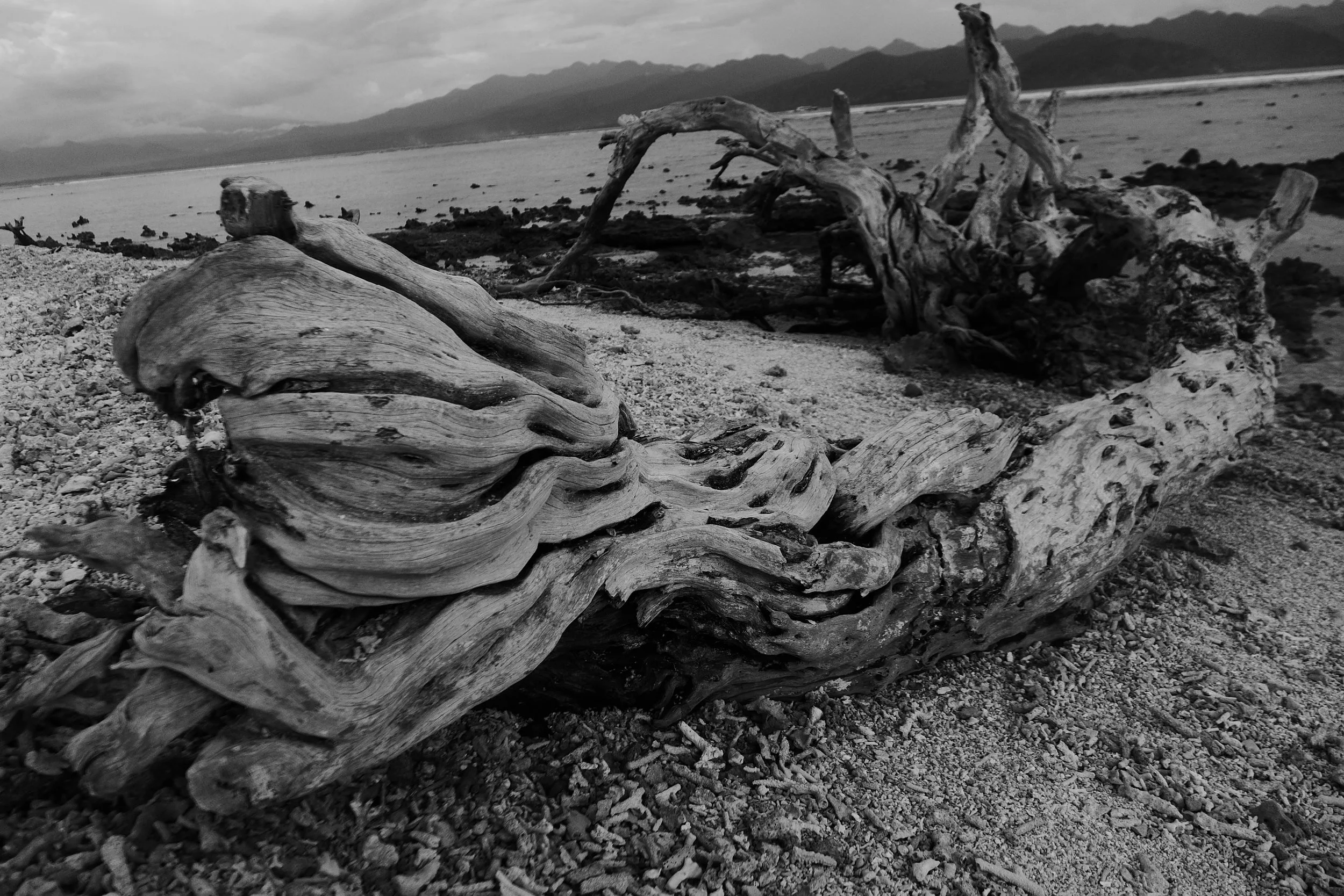 The arrogance of nature