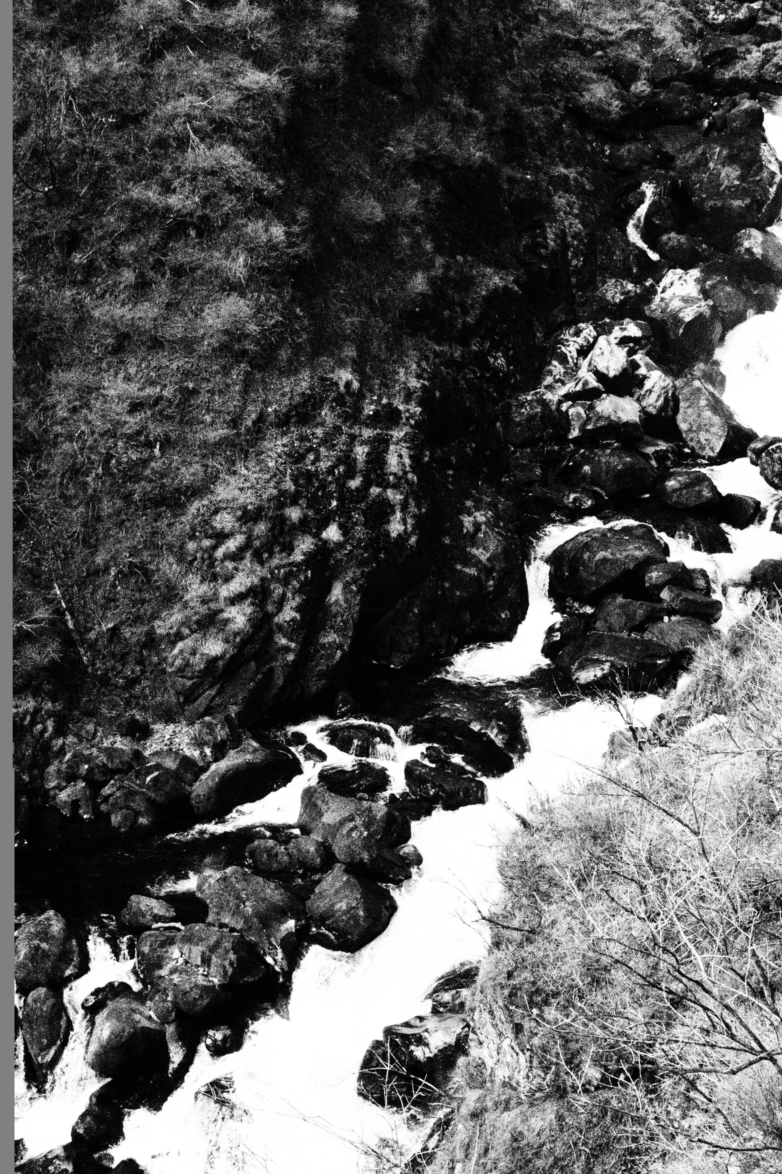 A painting of nature