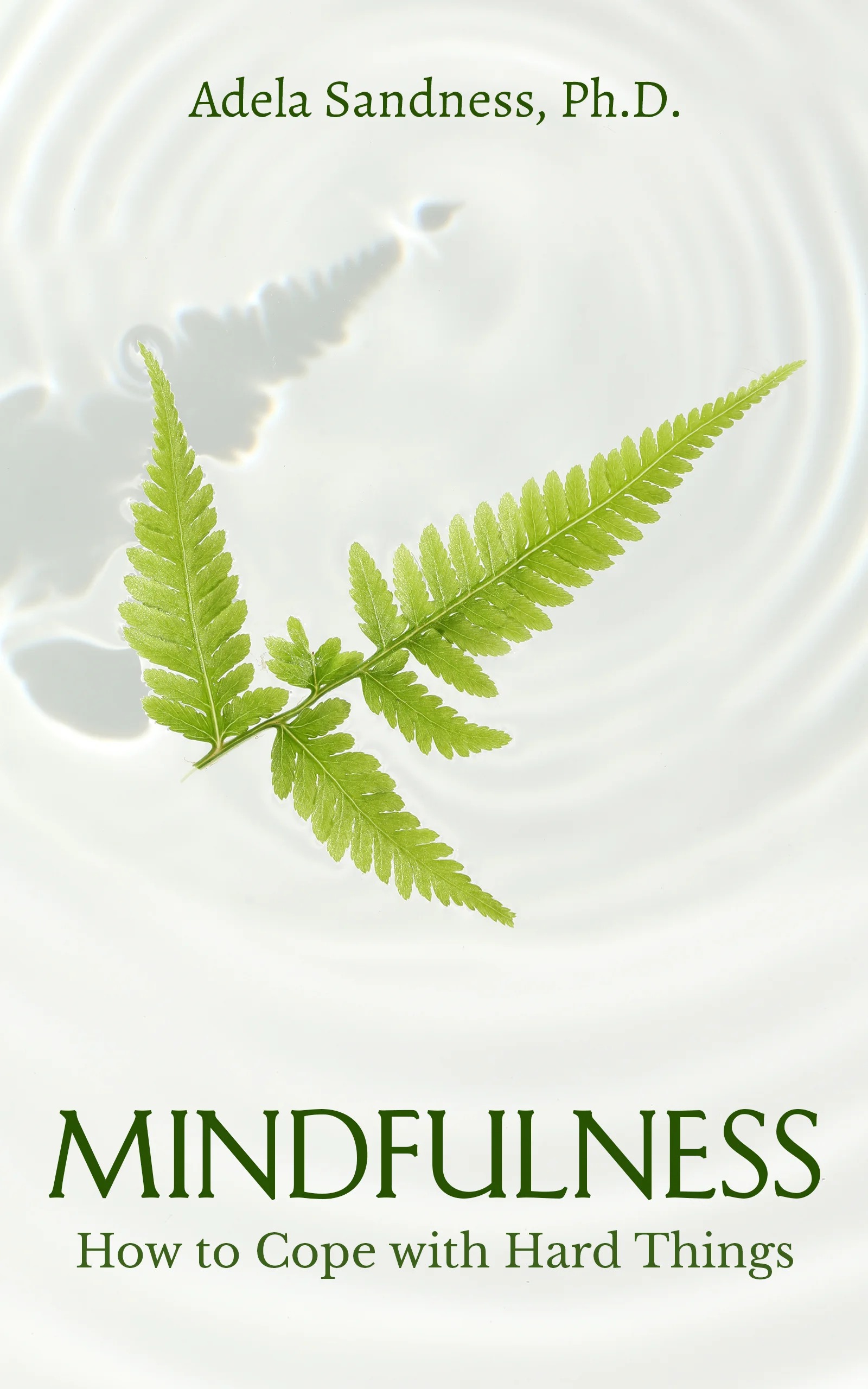 Mindfulness Book Cover.jpg