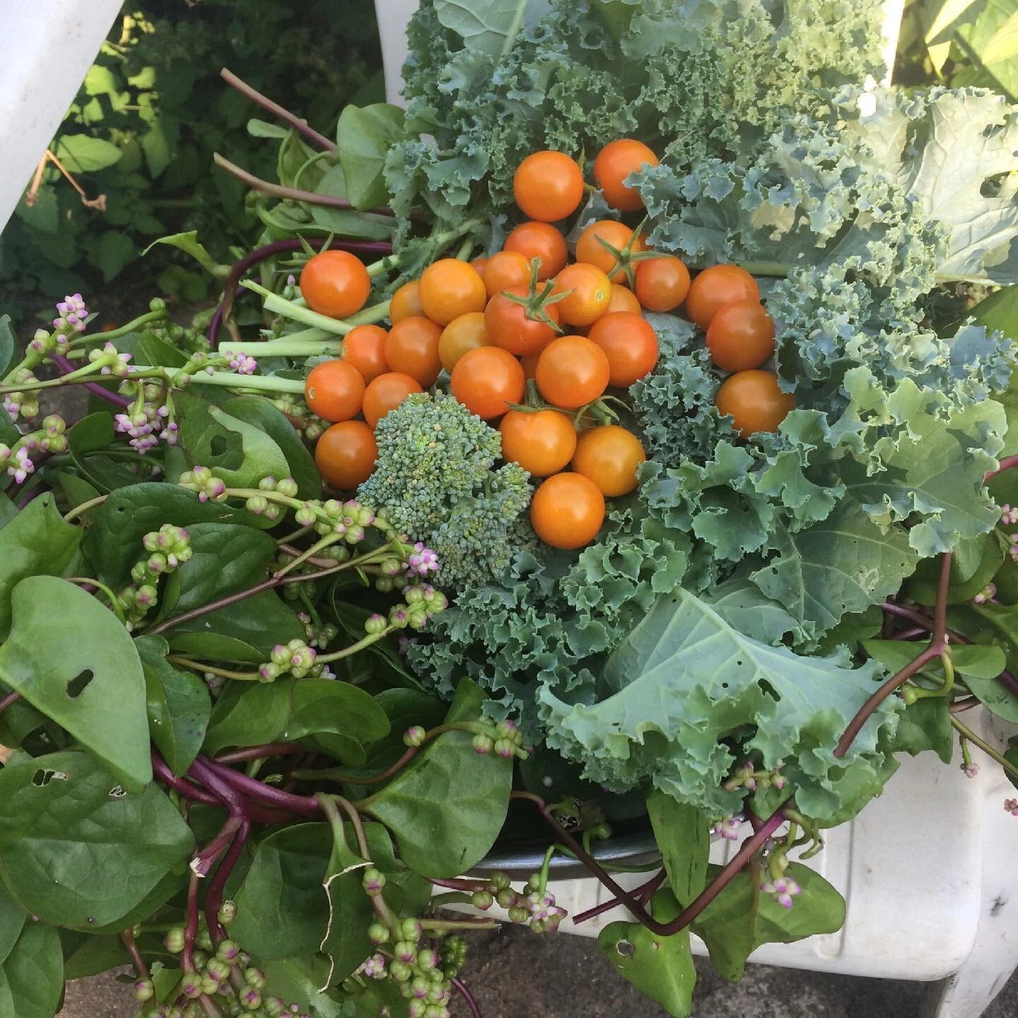 WE ARE SO EXCITED FOR OPENING DAY!!! It feels like we’ve been waiting forever.  Join us and all the new abd returning vendors 4-8 PM 🥦