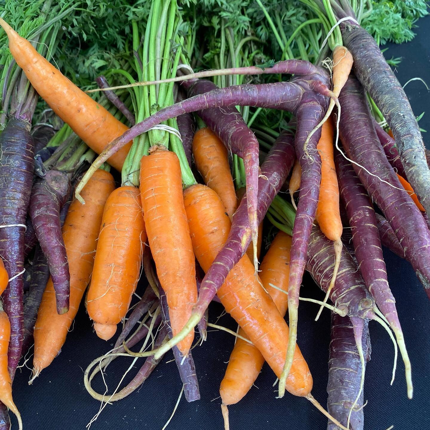 What a fun market tomorrow. You can stop by the pickle booth and try Ji’s pickles, heat some LIVE trio music, and pick up all your produce, flower, soap and soup needs ( see what I did there?). Thursday 4-8. Don’t forget your mask. @blugi