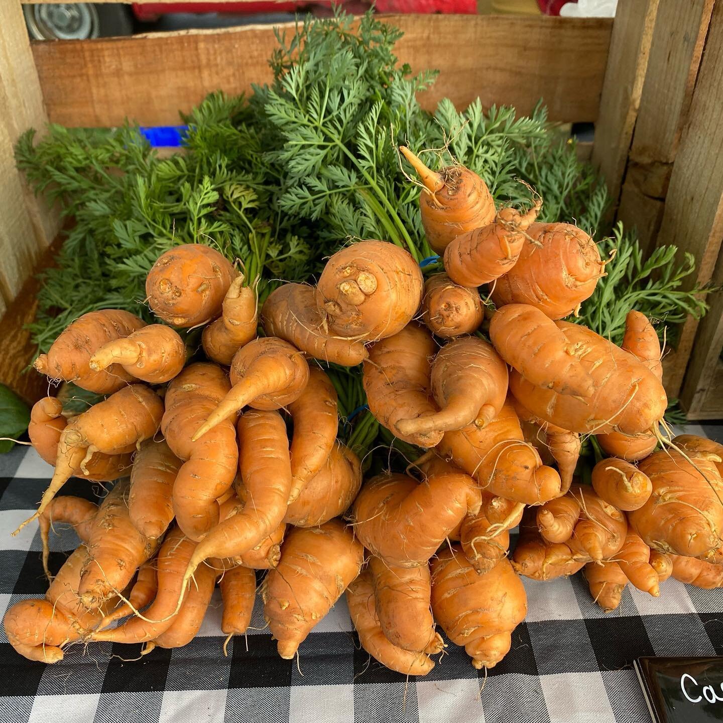 So many vegetables but also popsicles, honey, music and more. Looks like another gorgeous evening fir the farmers market!  4-8 pm tonight!