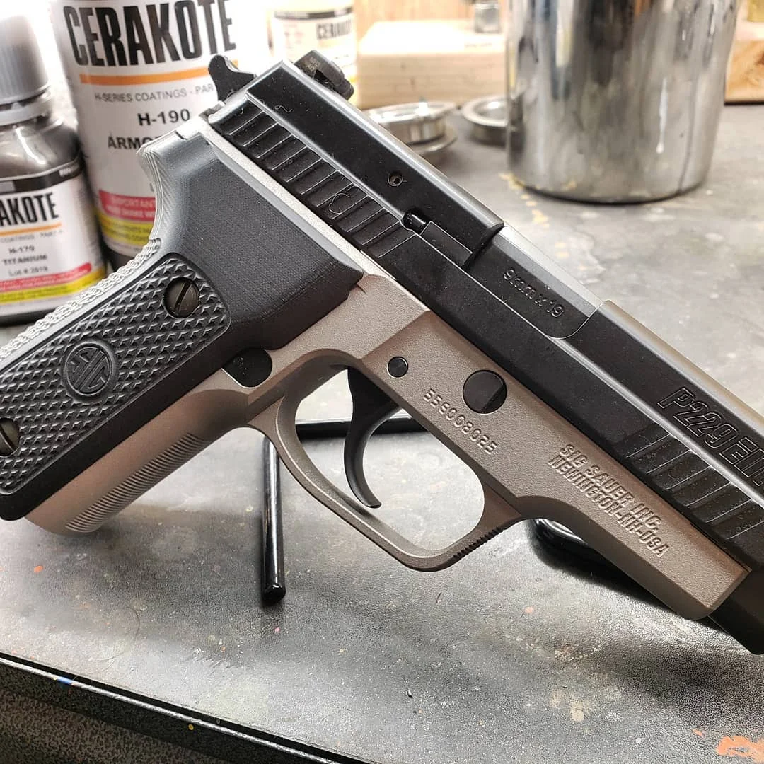 Armor Black and Titanium over a Sig P229 Elite.