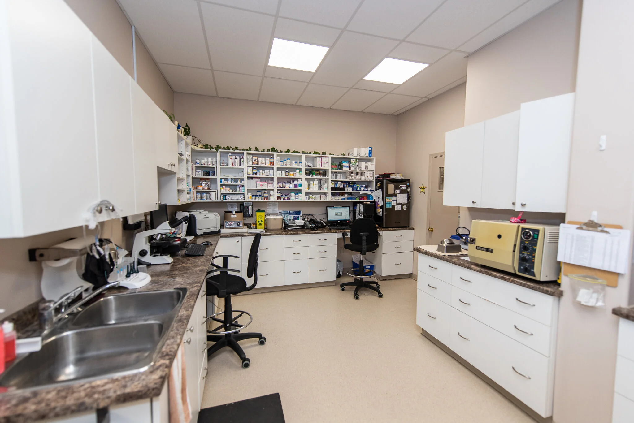 Pharmacy & Lab — Kemptville Animal Hospital