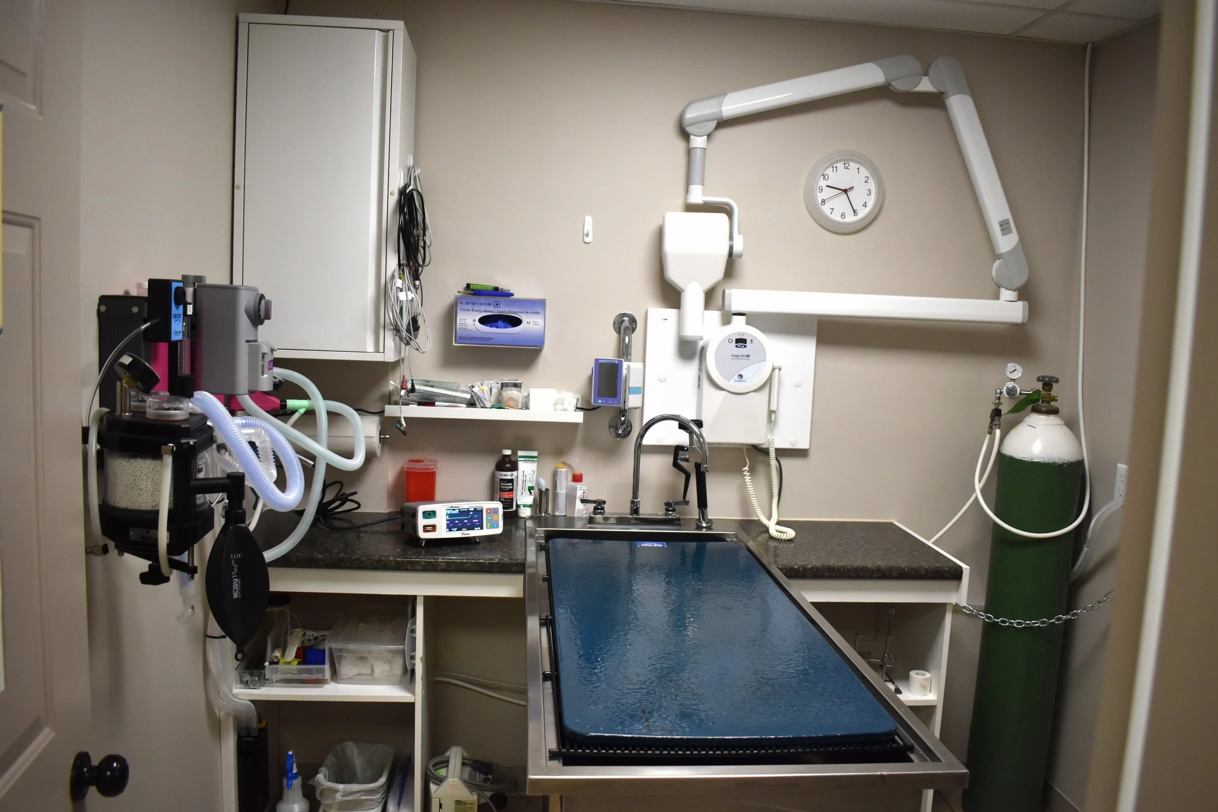 dental+room+pics+2.png