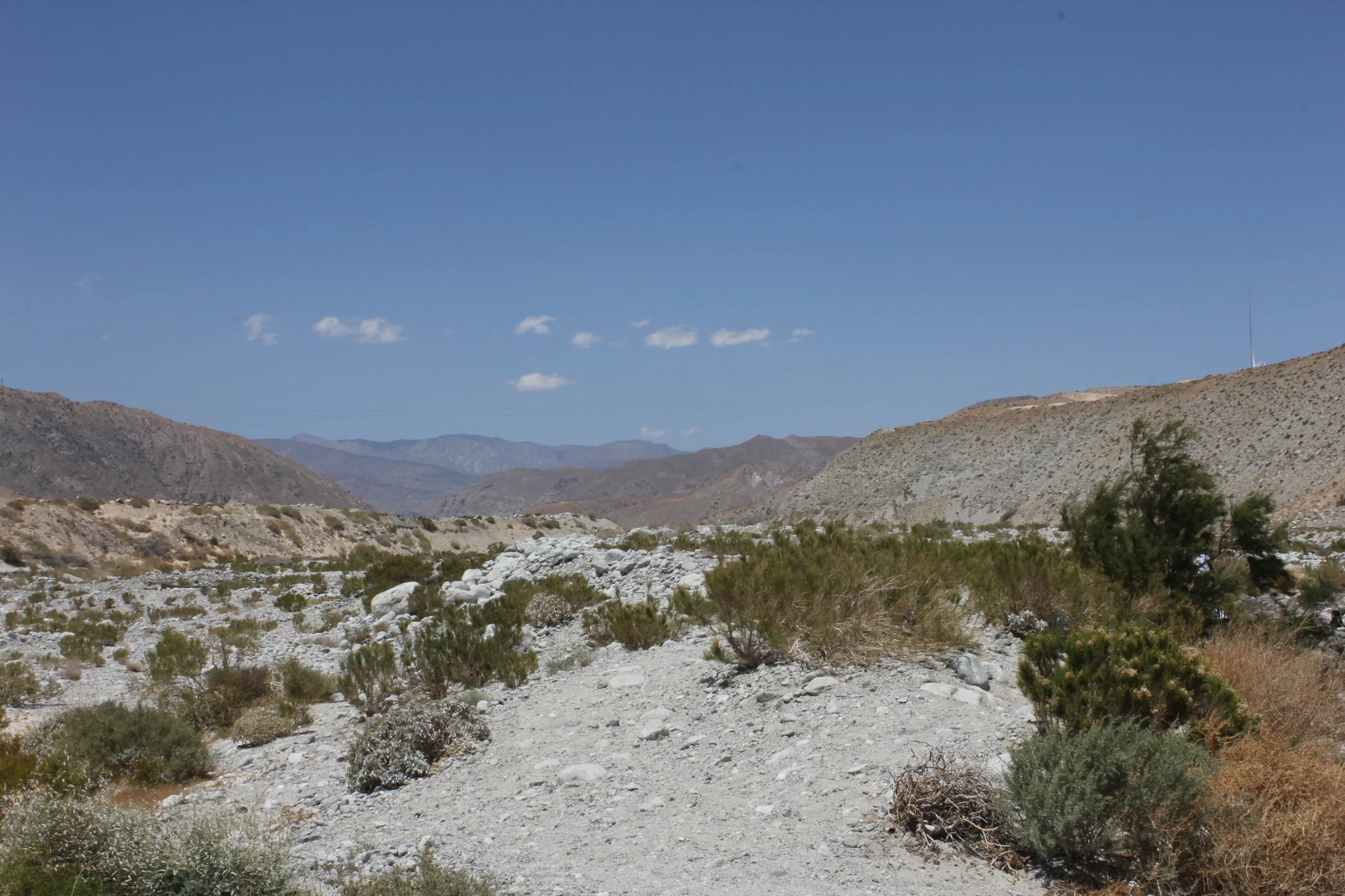 PA_Desert17.JPG