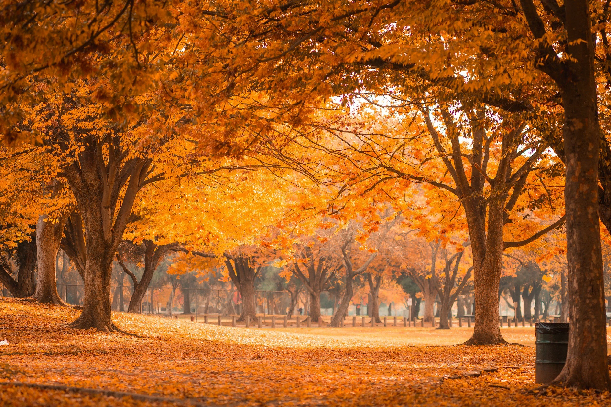 November 2026 Chapter Meeting