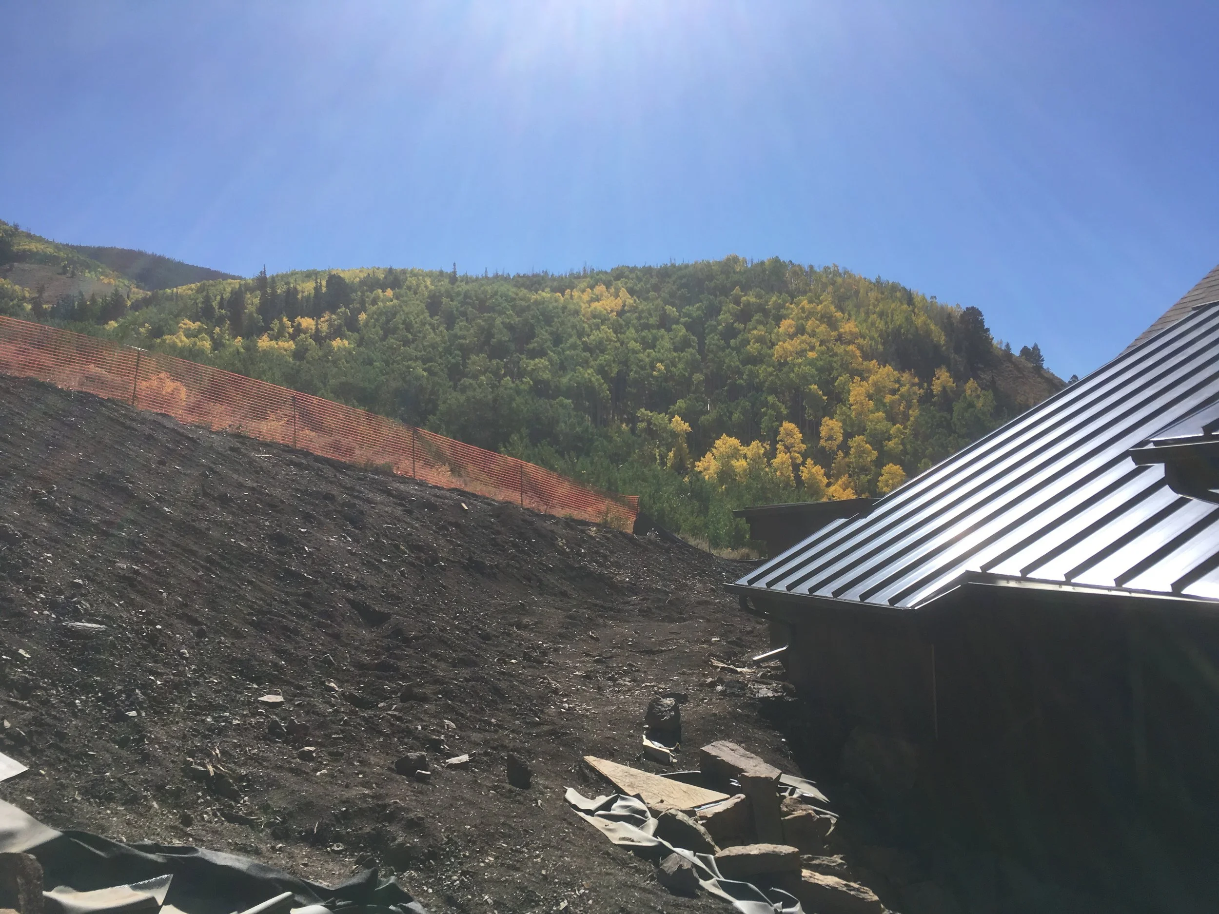 The aspens are just starting to change