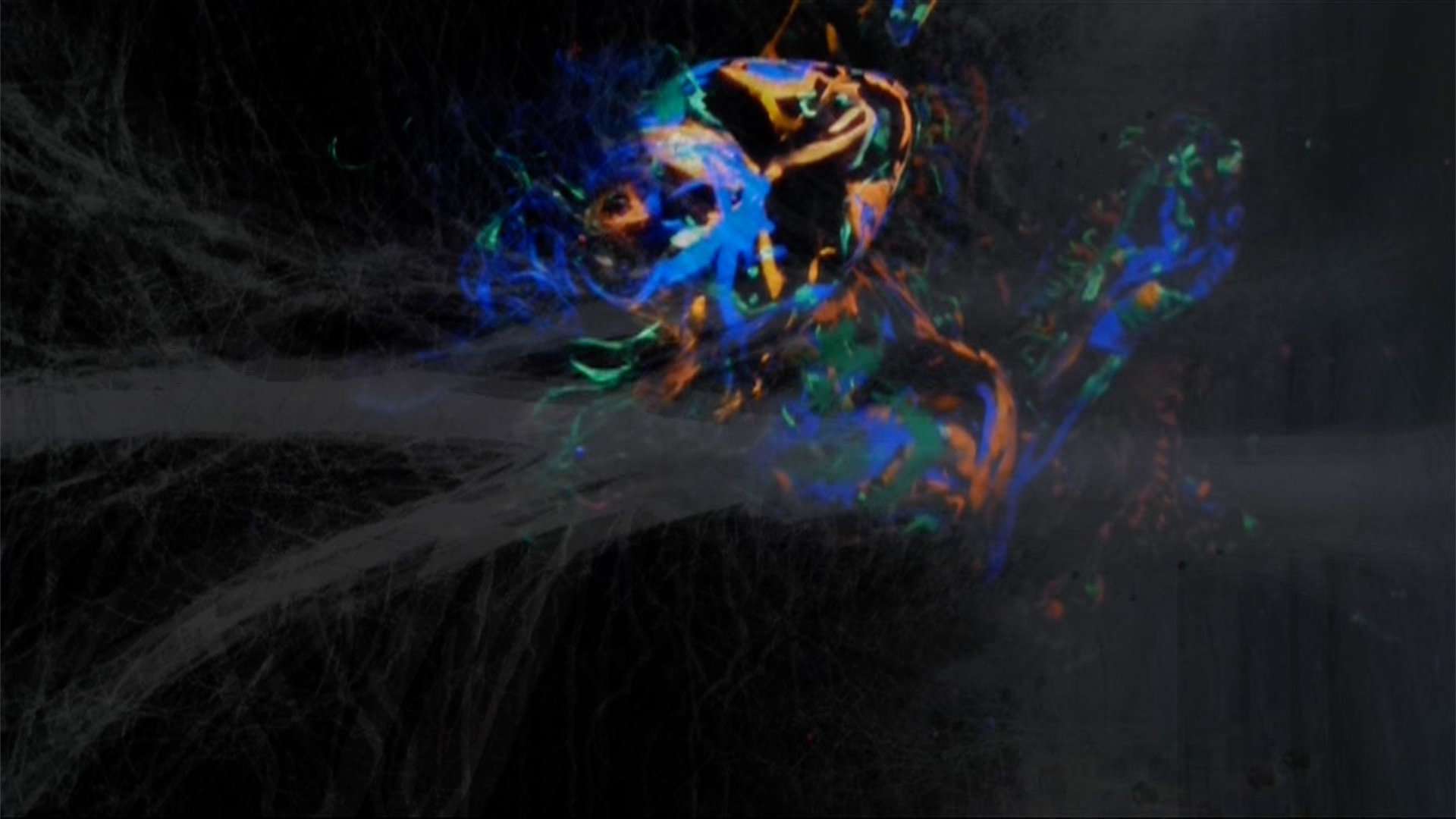 Detail from video Spacing in the Womb 03.jpg