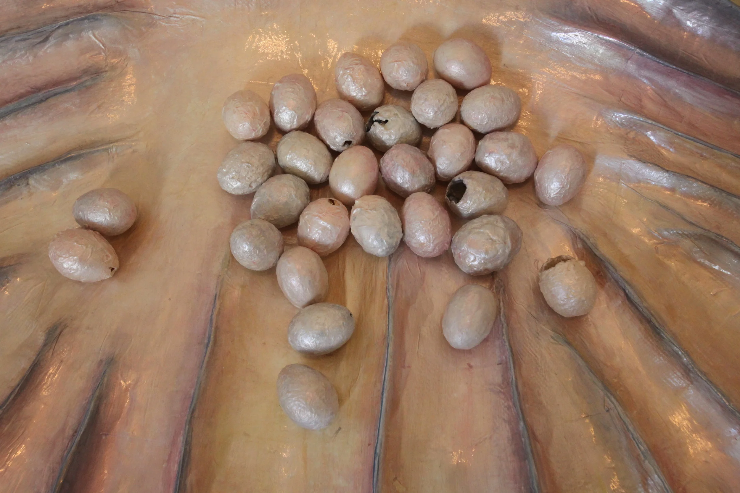 Detail, Venus 2009