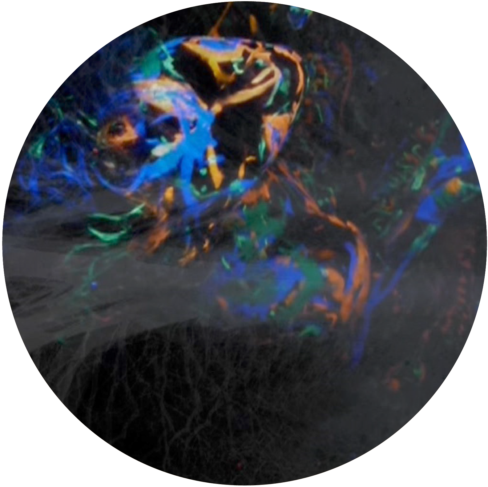 Tal Eshed beyondwords rounds-65.png