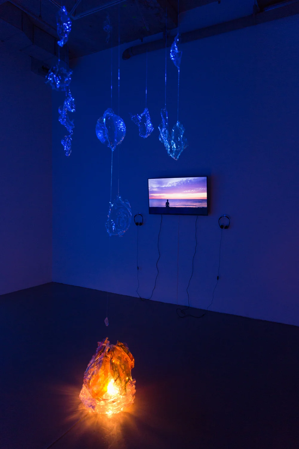 Dive In... 2016 Installation view .jpg