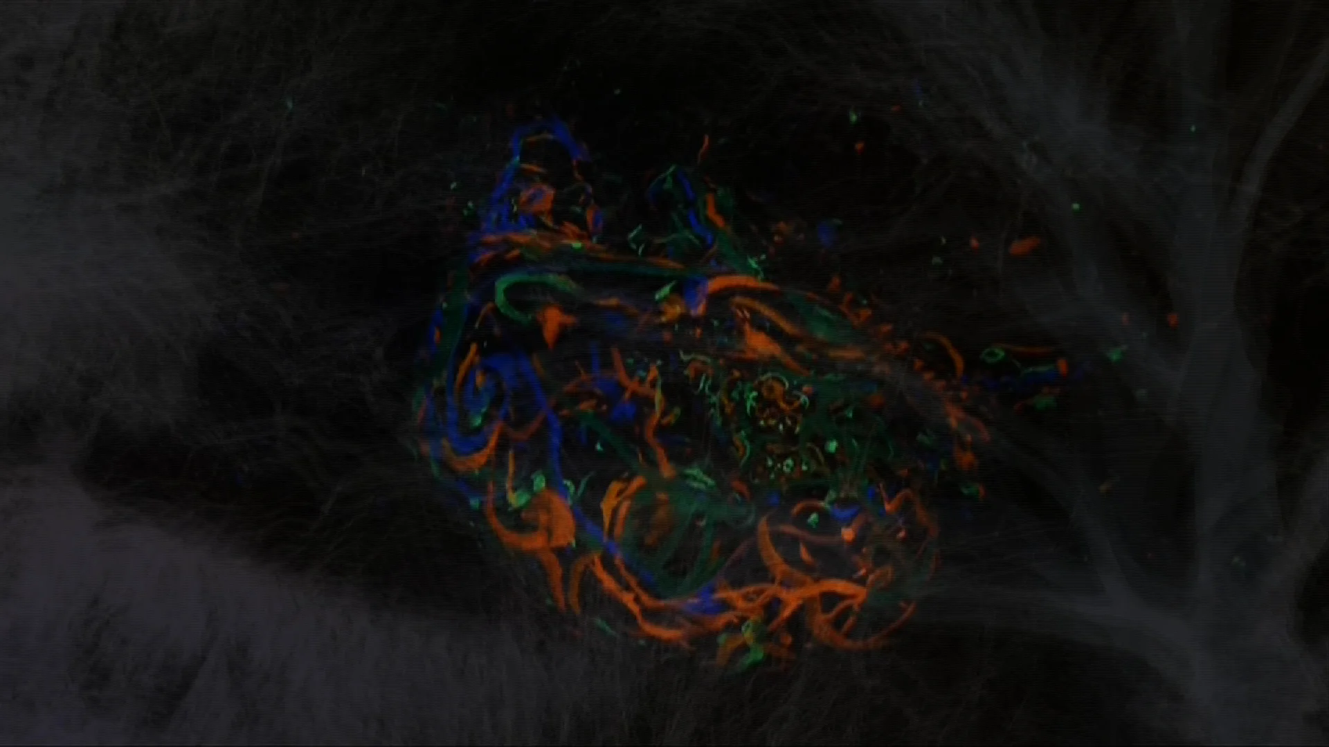 Detail from video Spacing in the Womb 01 .jpg