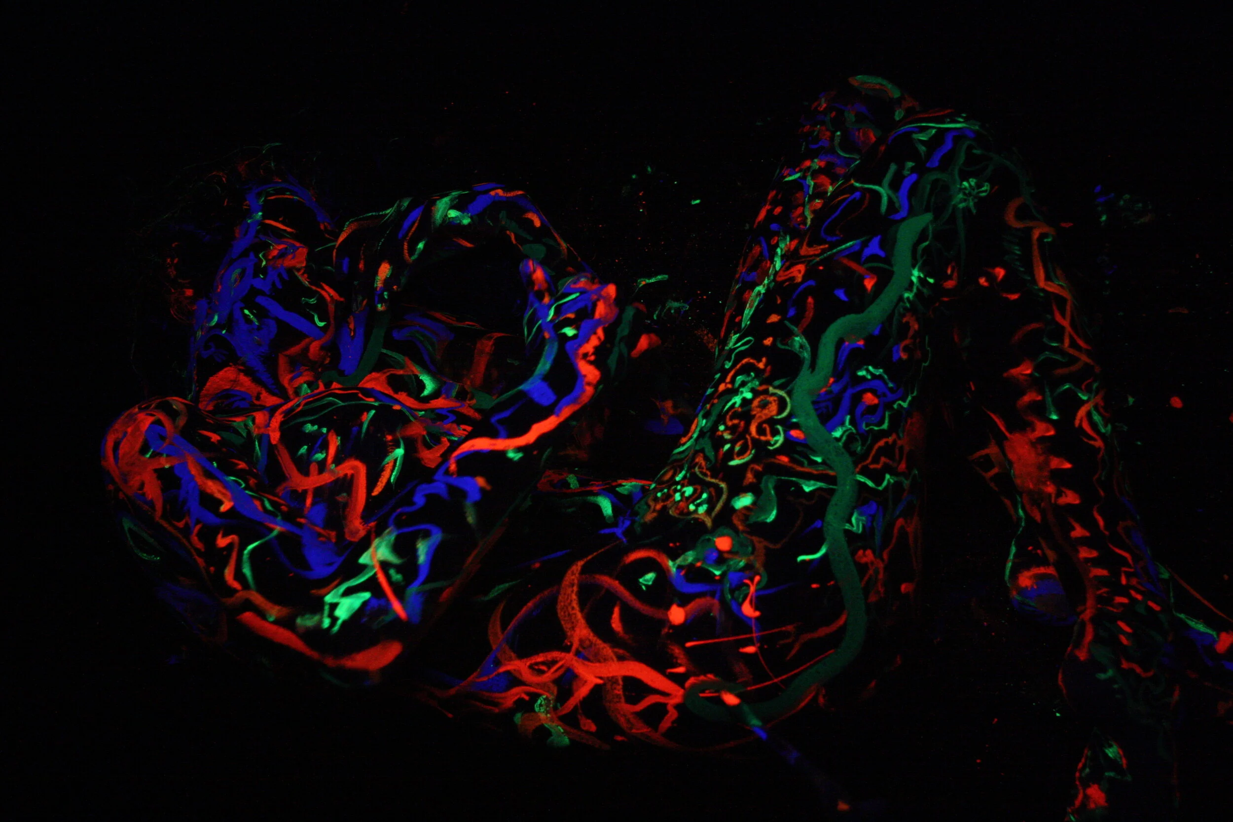 ArtTreasury_EshedTal_Still from video _Spacing in the womb.JPG