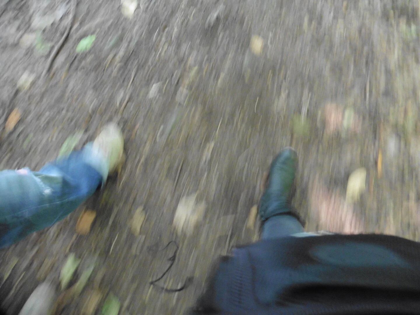 Walking With _ image