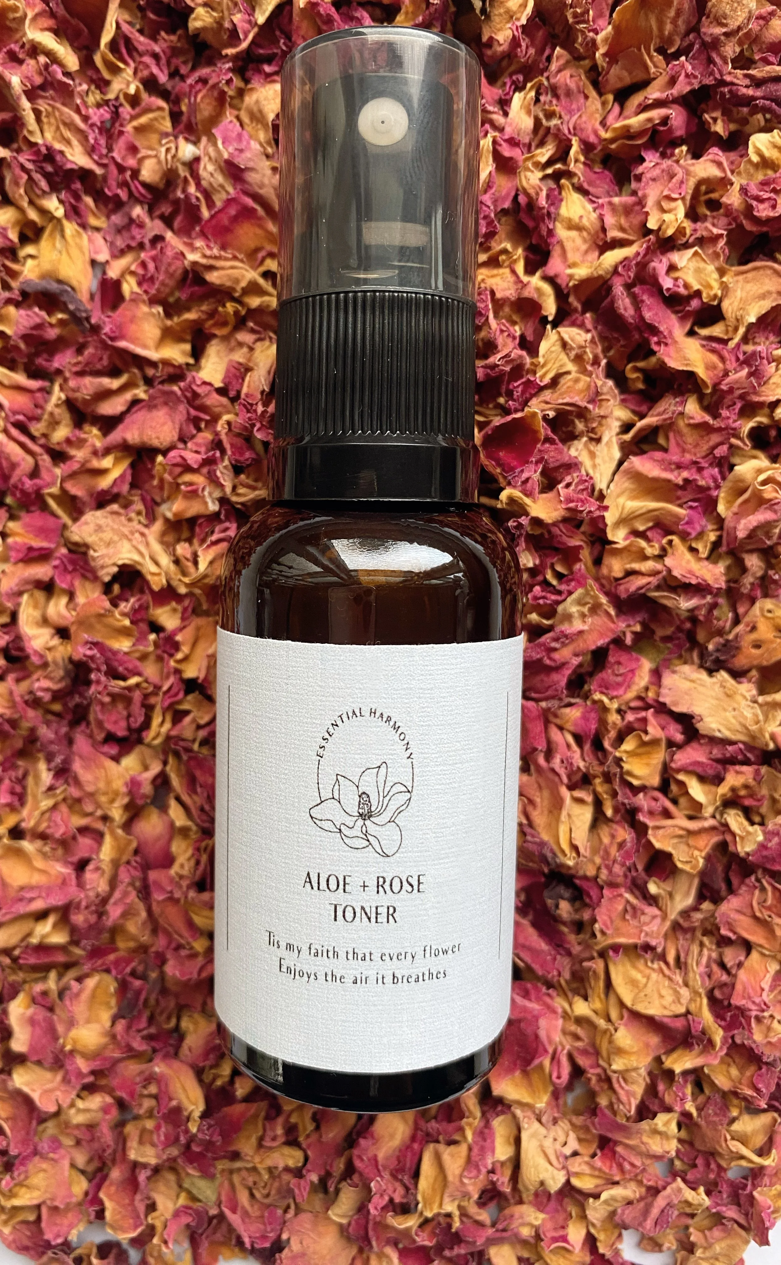 AfterlightImage 10.JPG