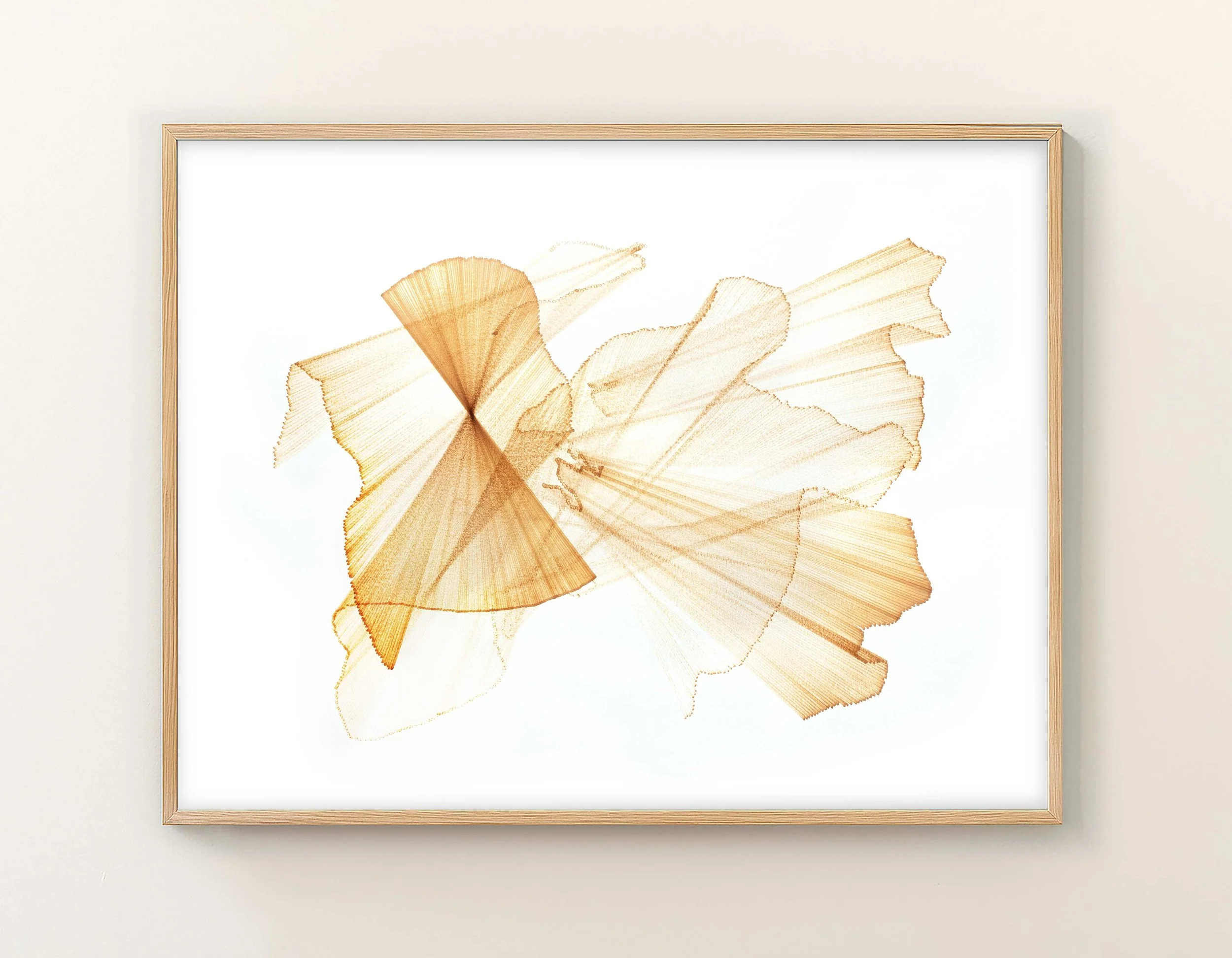 migration 55
