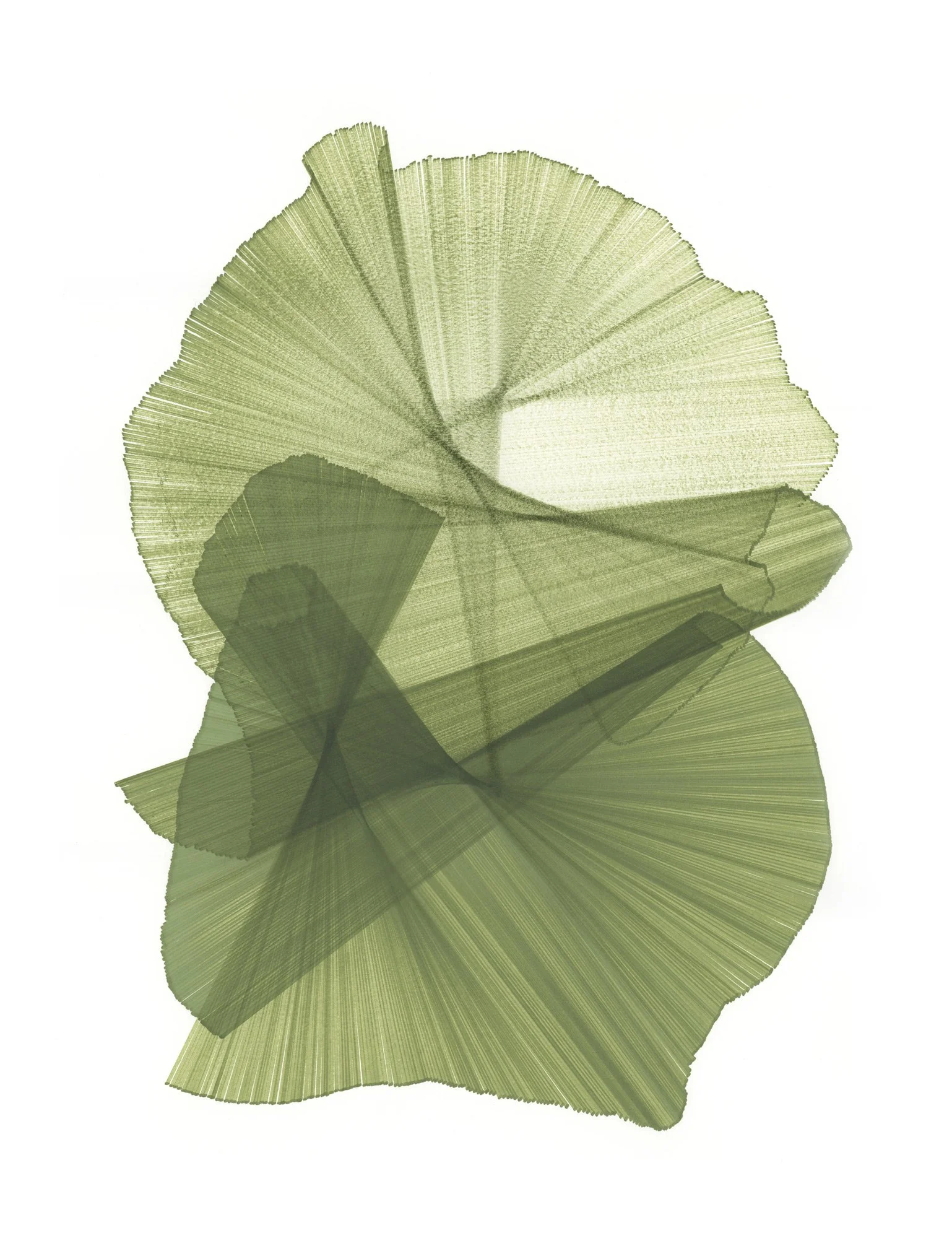 Copy of Migration-88-web.jpg