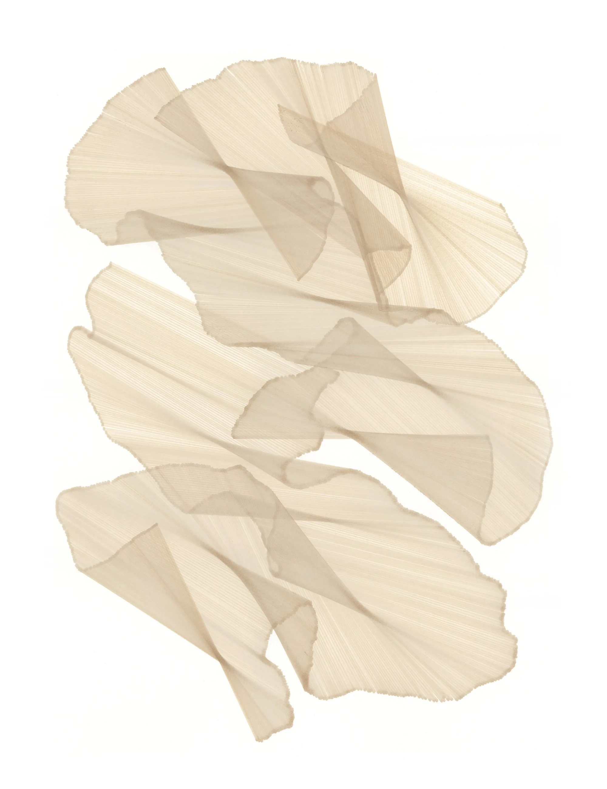 Copy of Migration-89-web.jpg