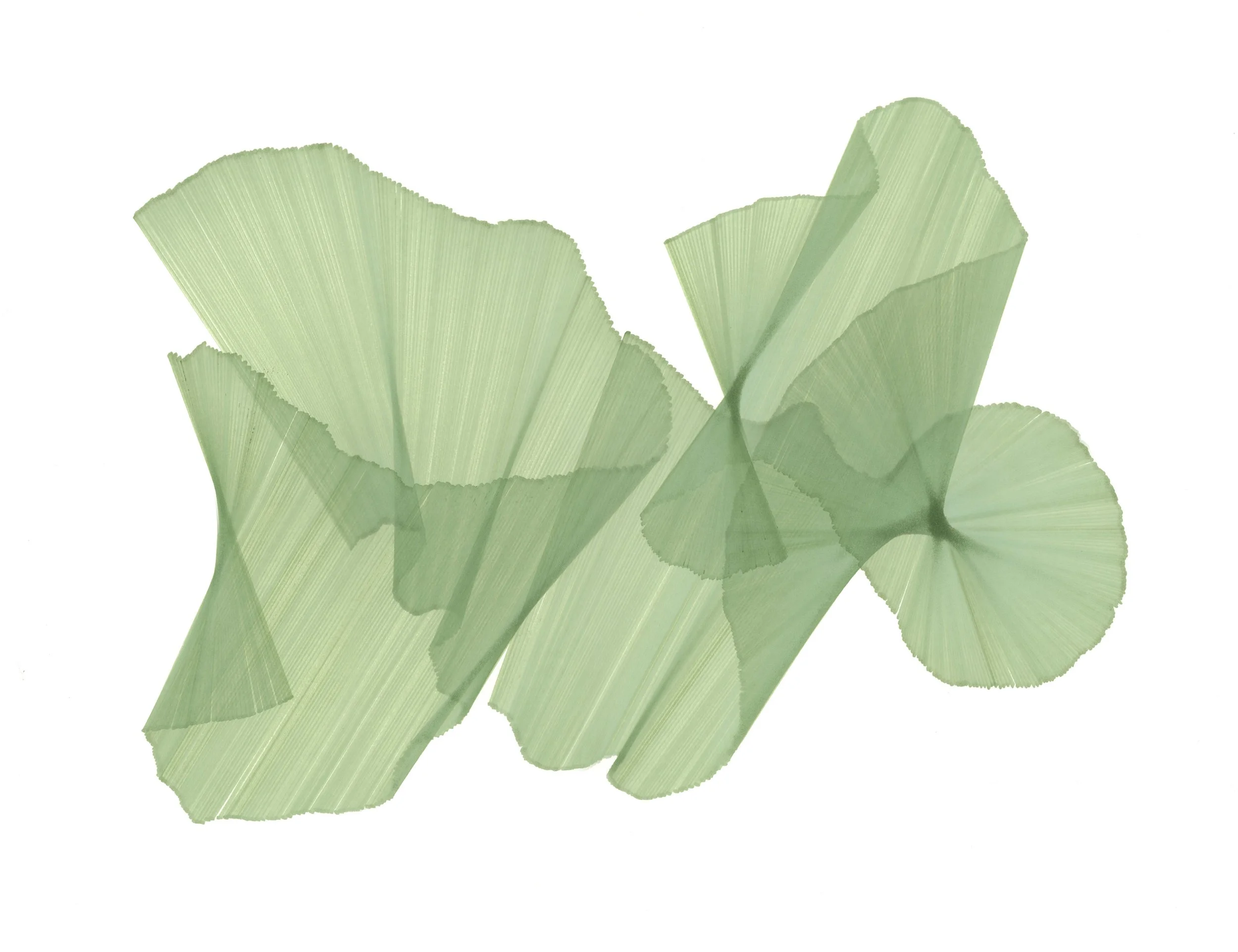 Copy of Migration-94-web.jpg