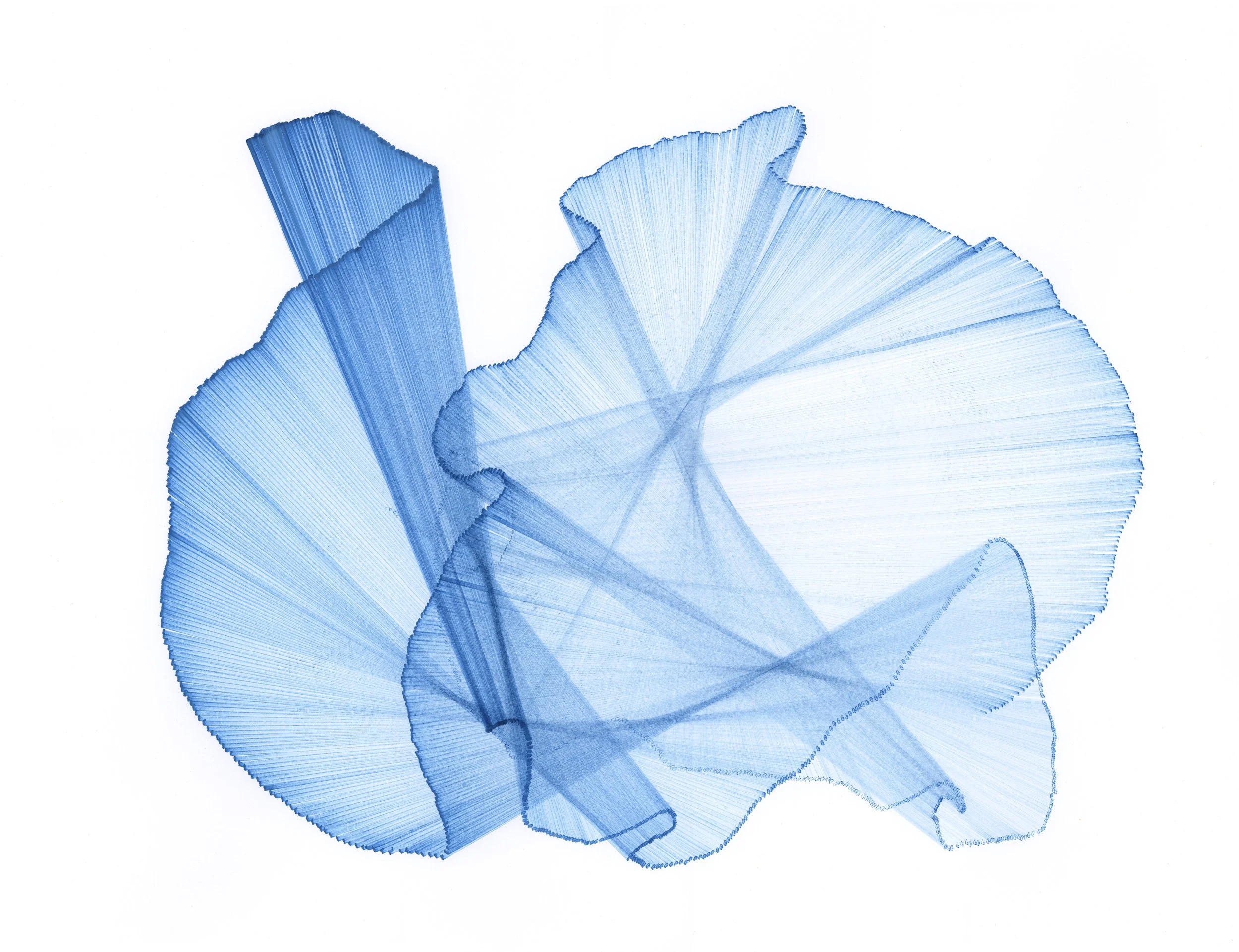 CS-Migration-80-web.jpg
