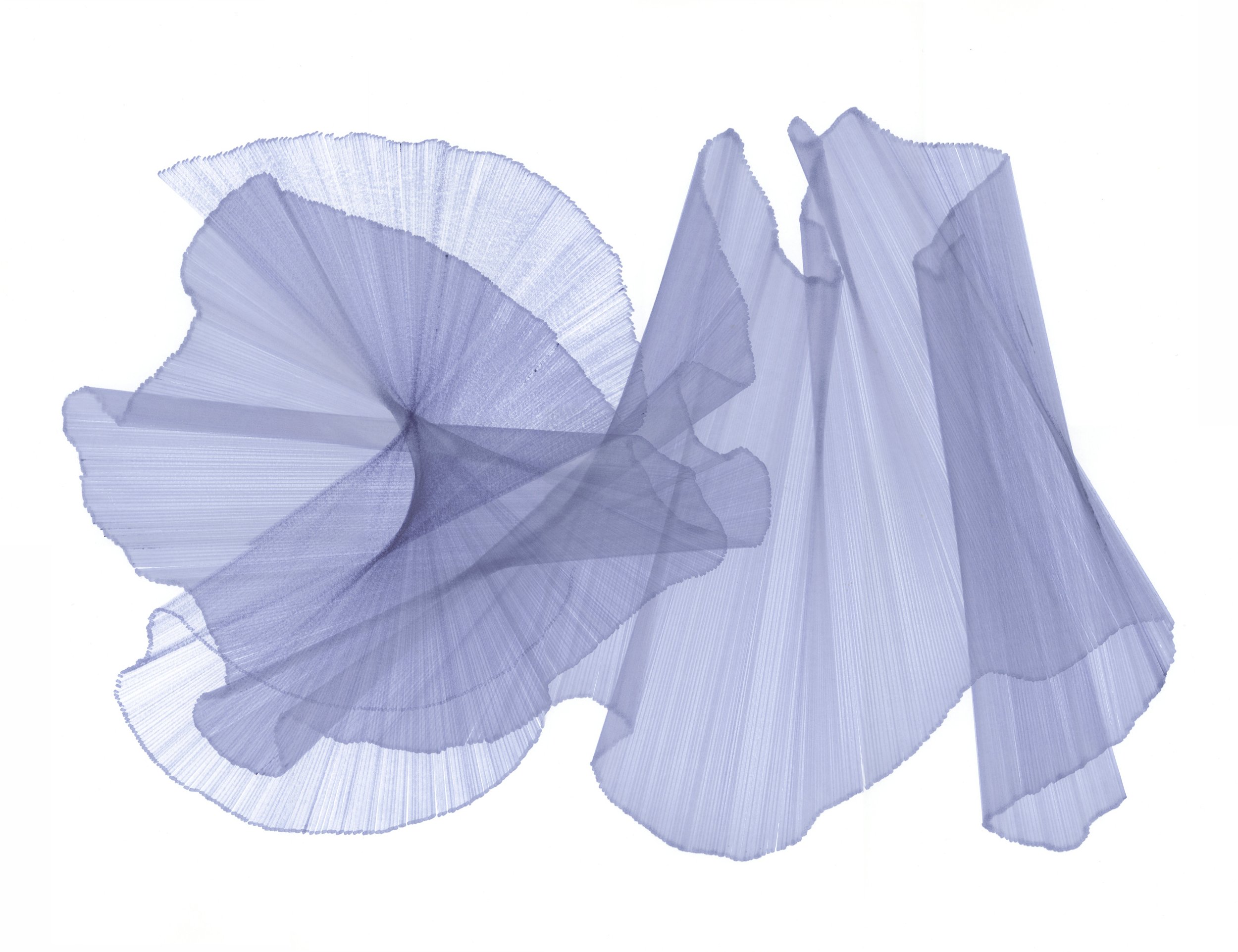 CS-Migration-82-web.jpg