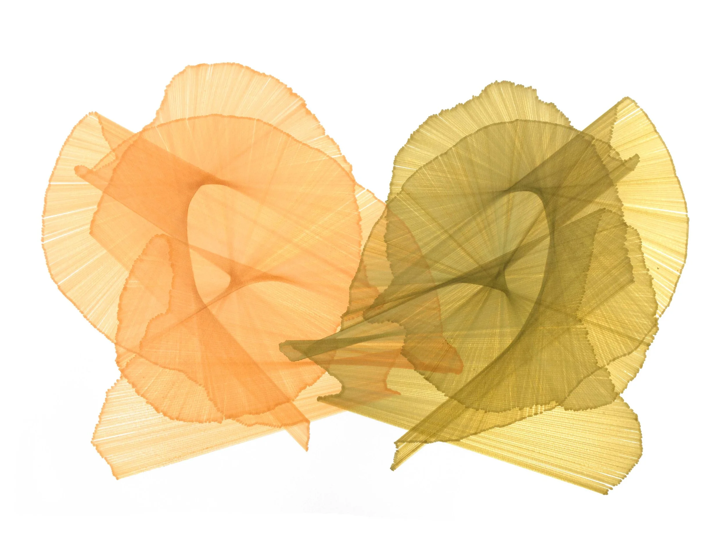 Migration-100-web.jpg