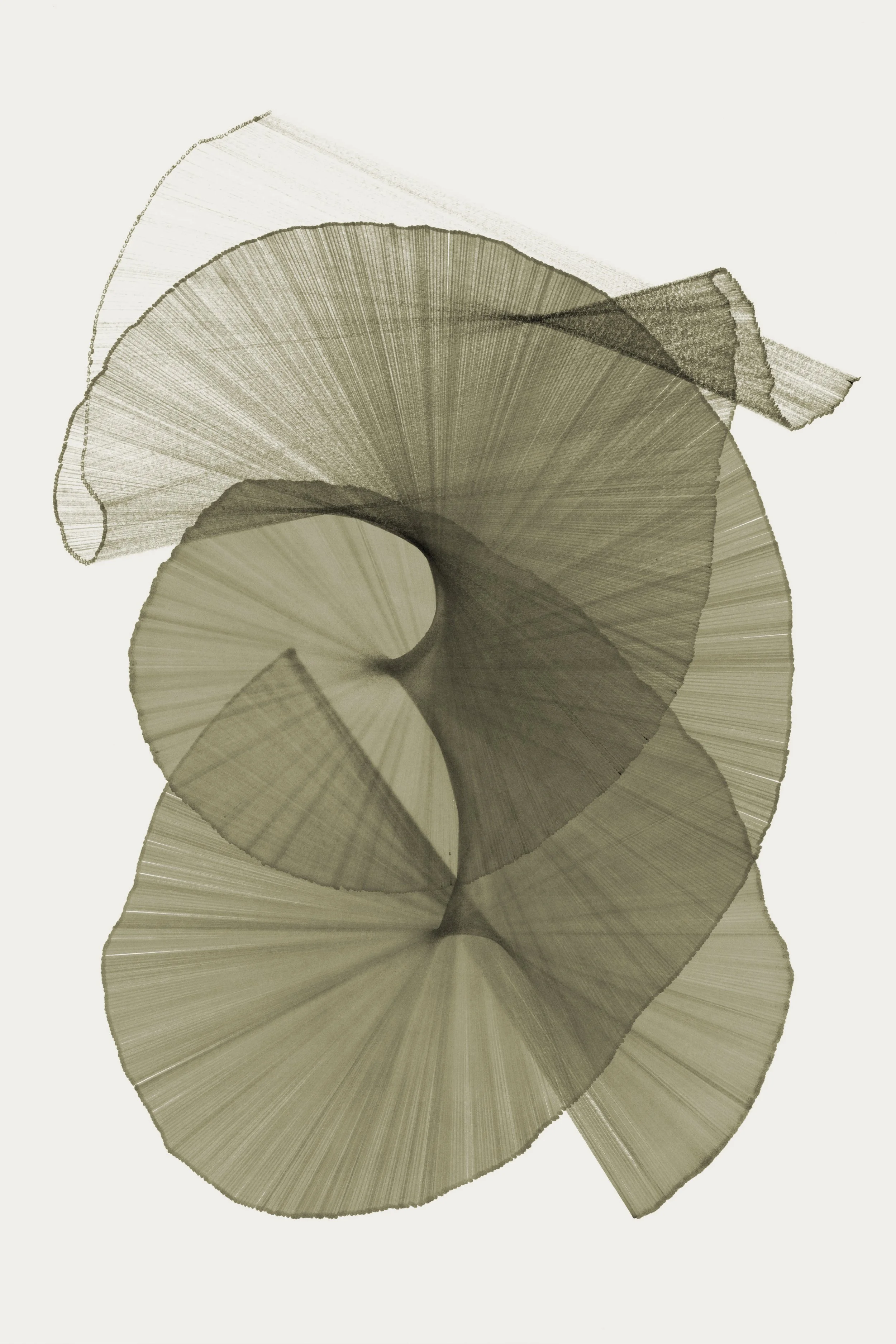 migration series | ongoing