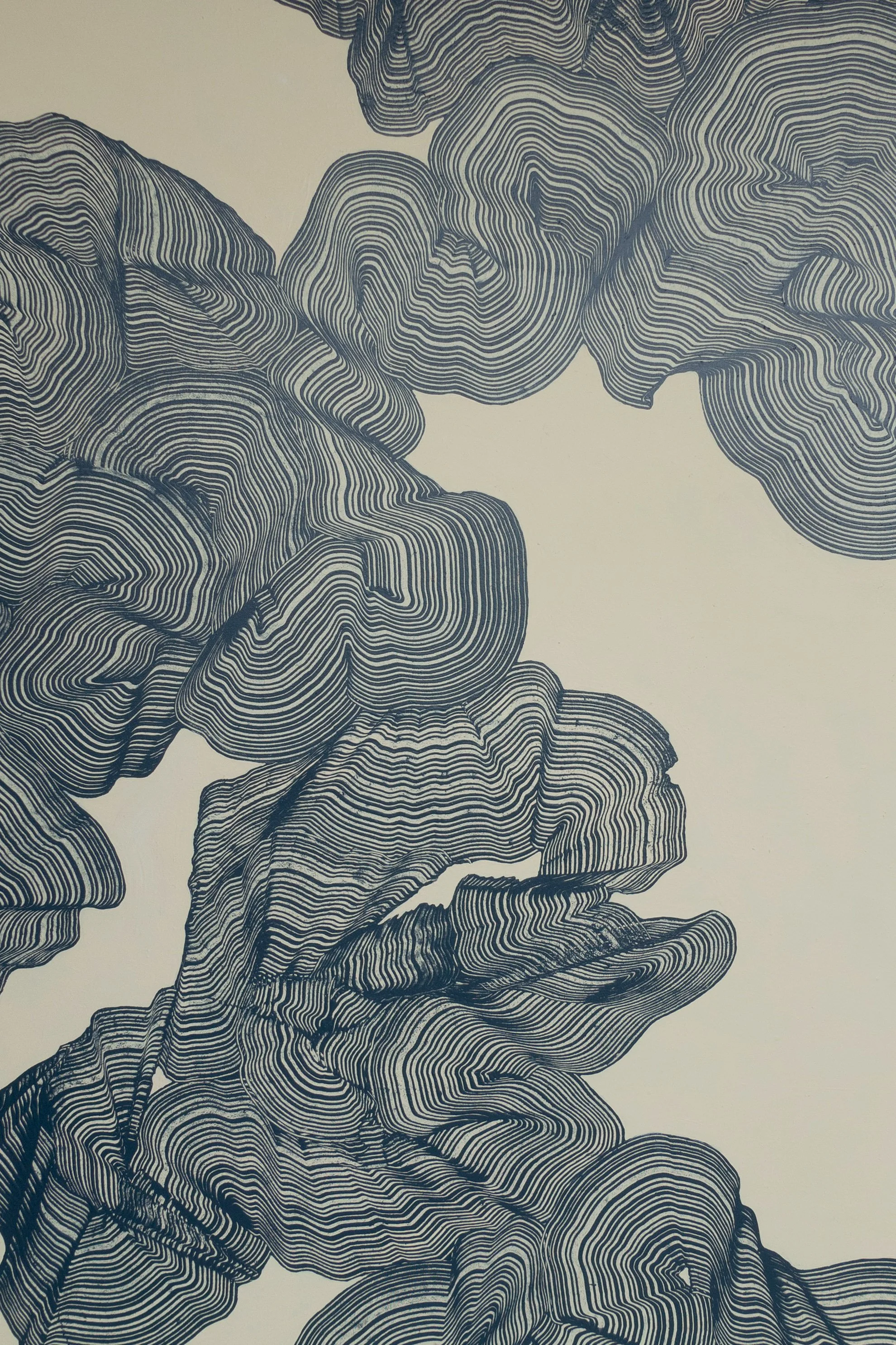 subtraction series | 2022-24