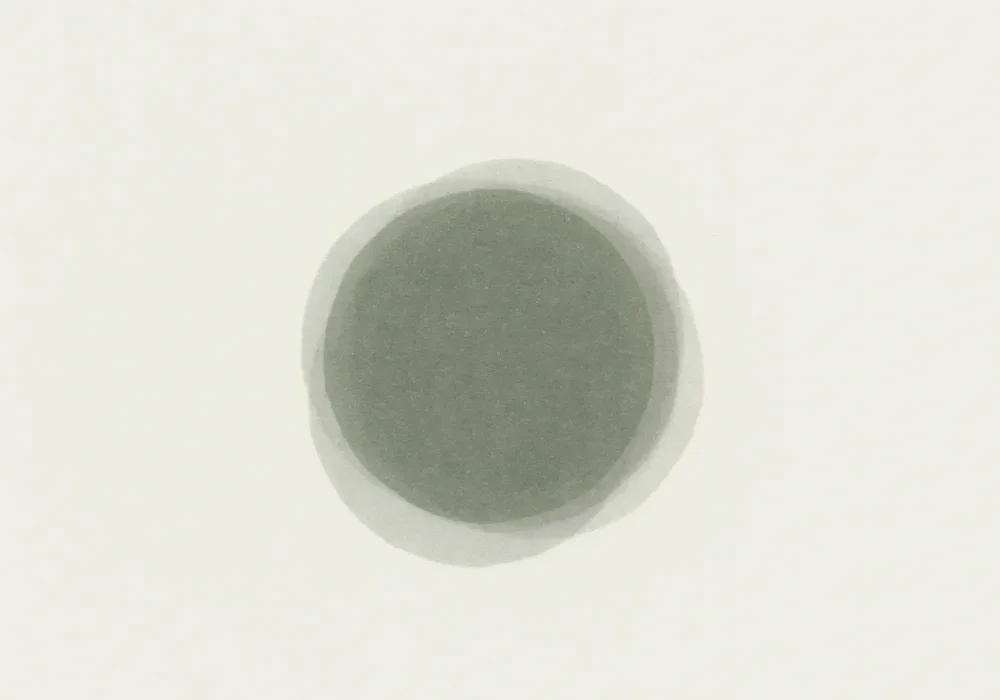 CS-Dispersion-Web-41 (1).webp