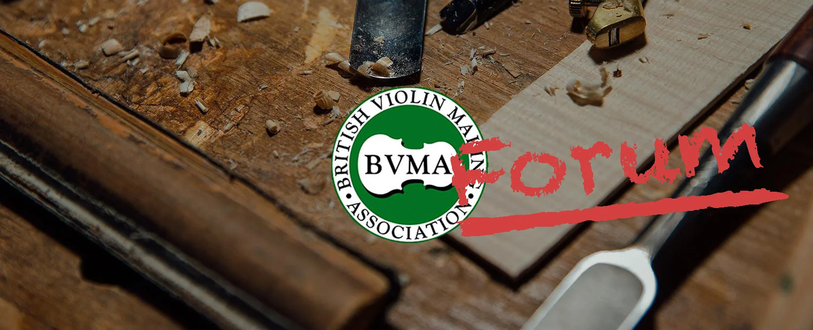 BVMA forum.jpg