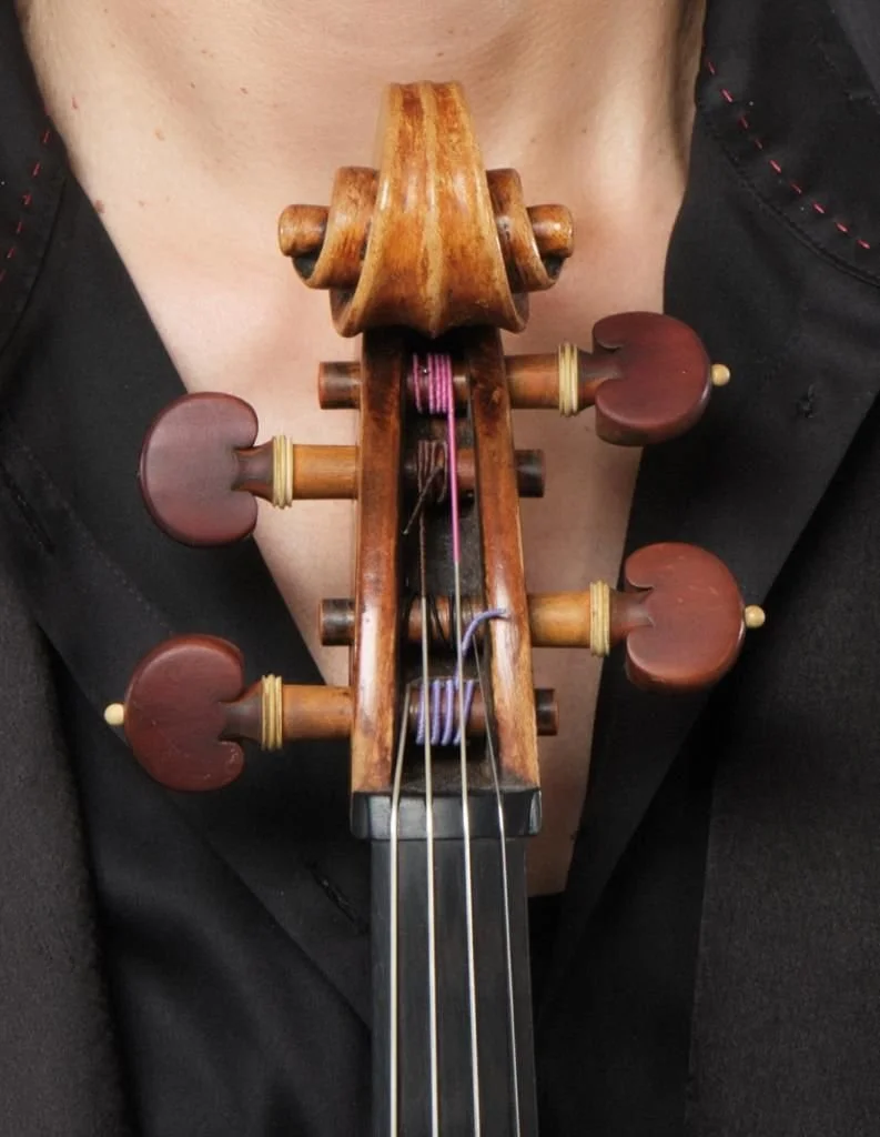 Found! (Lost and Presumed Stolen Viola)