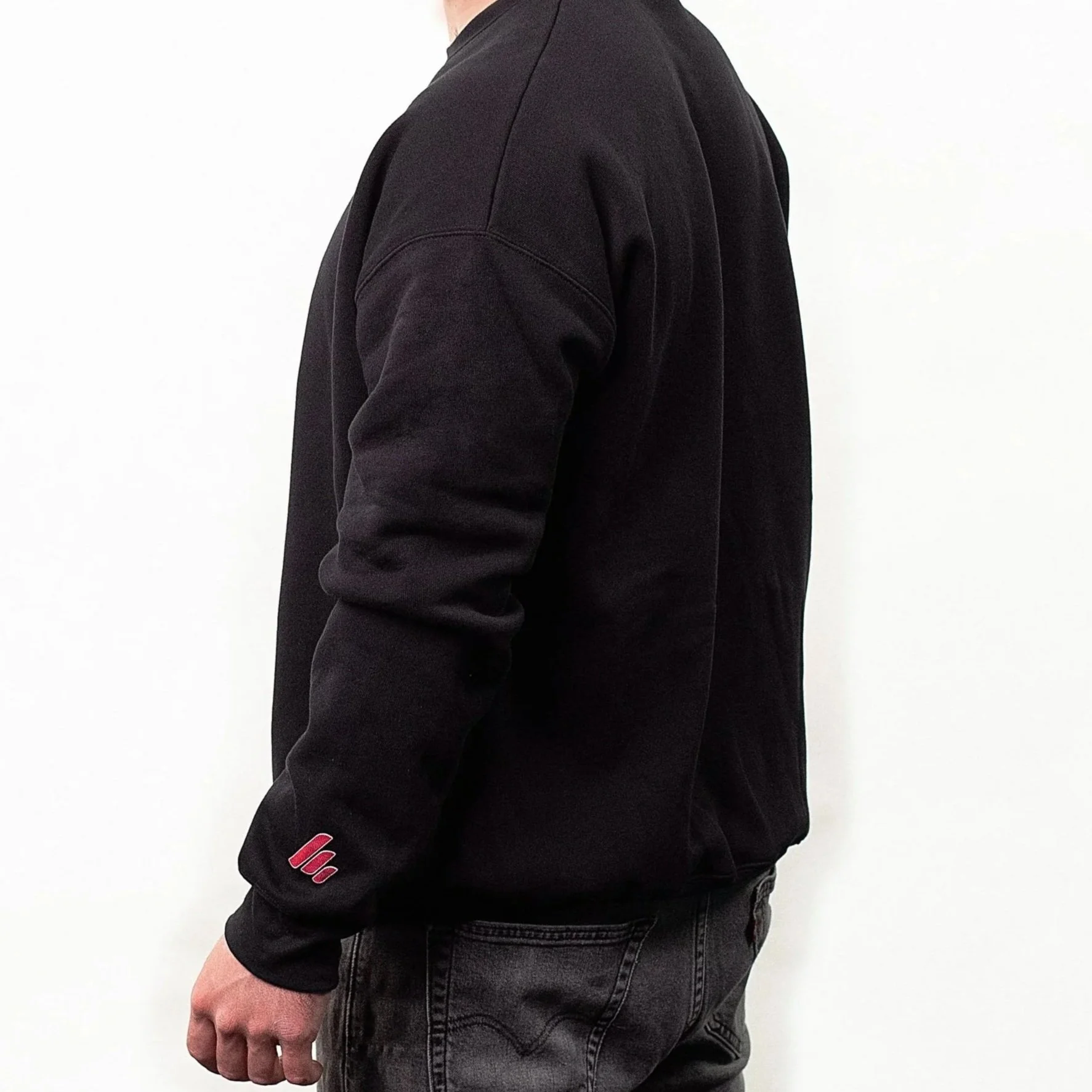 Alive%2BCrewneck_Back%2BWide-1.jpg