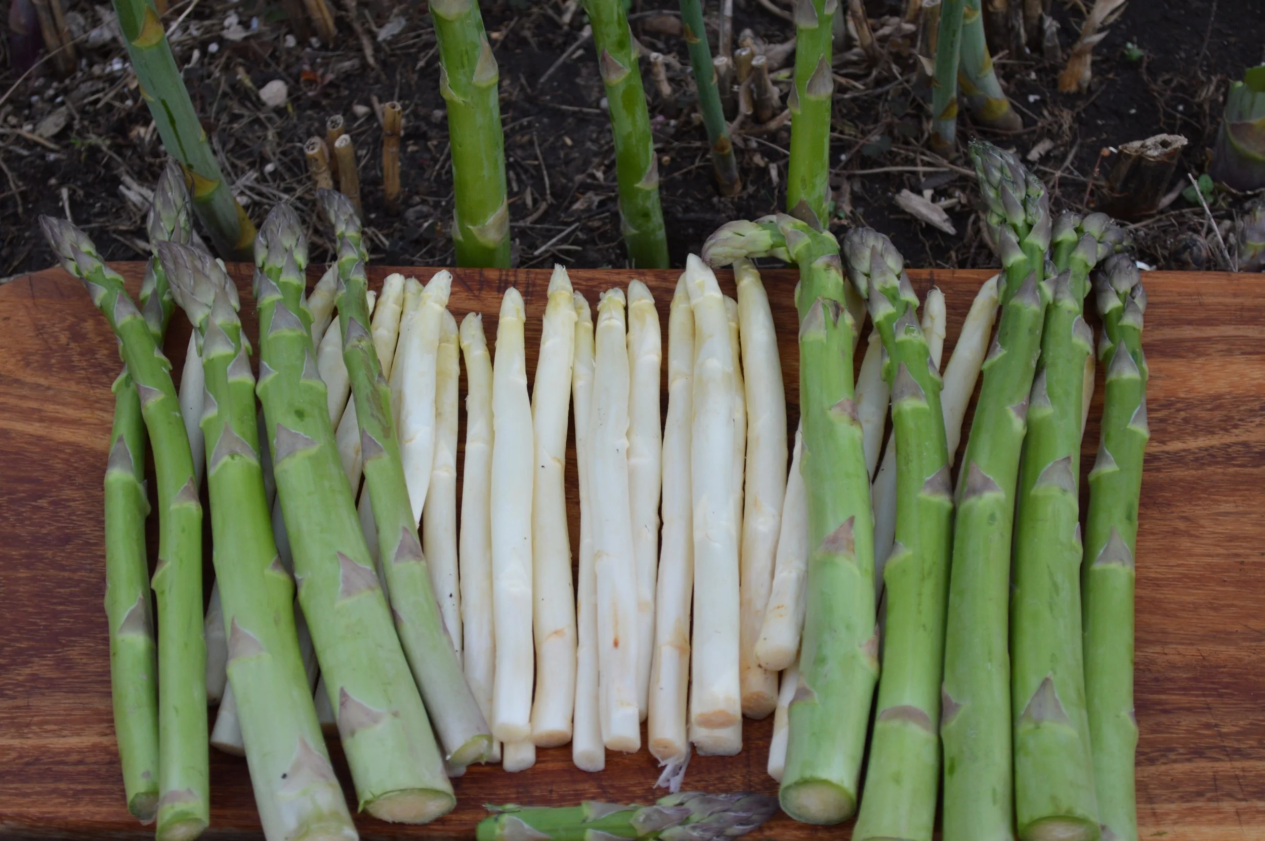 Asparagus can also be white!