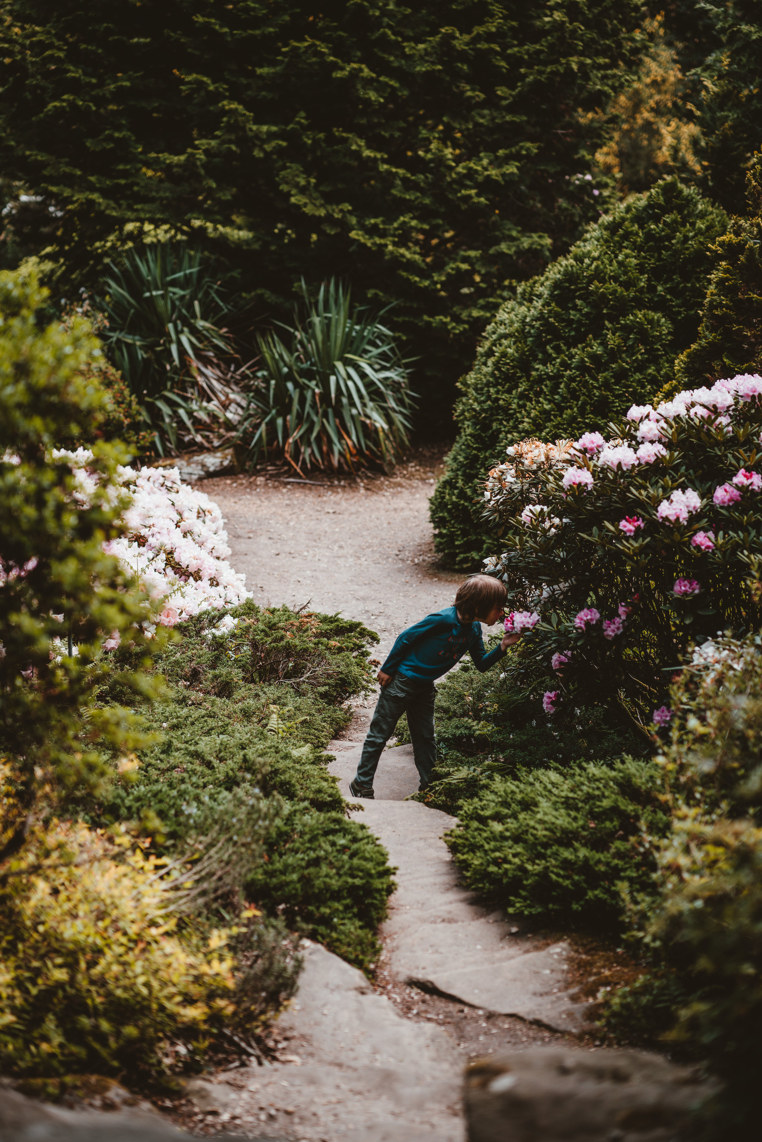 Gardening by the Book: Landscape Gardening