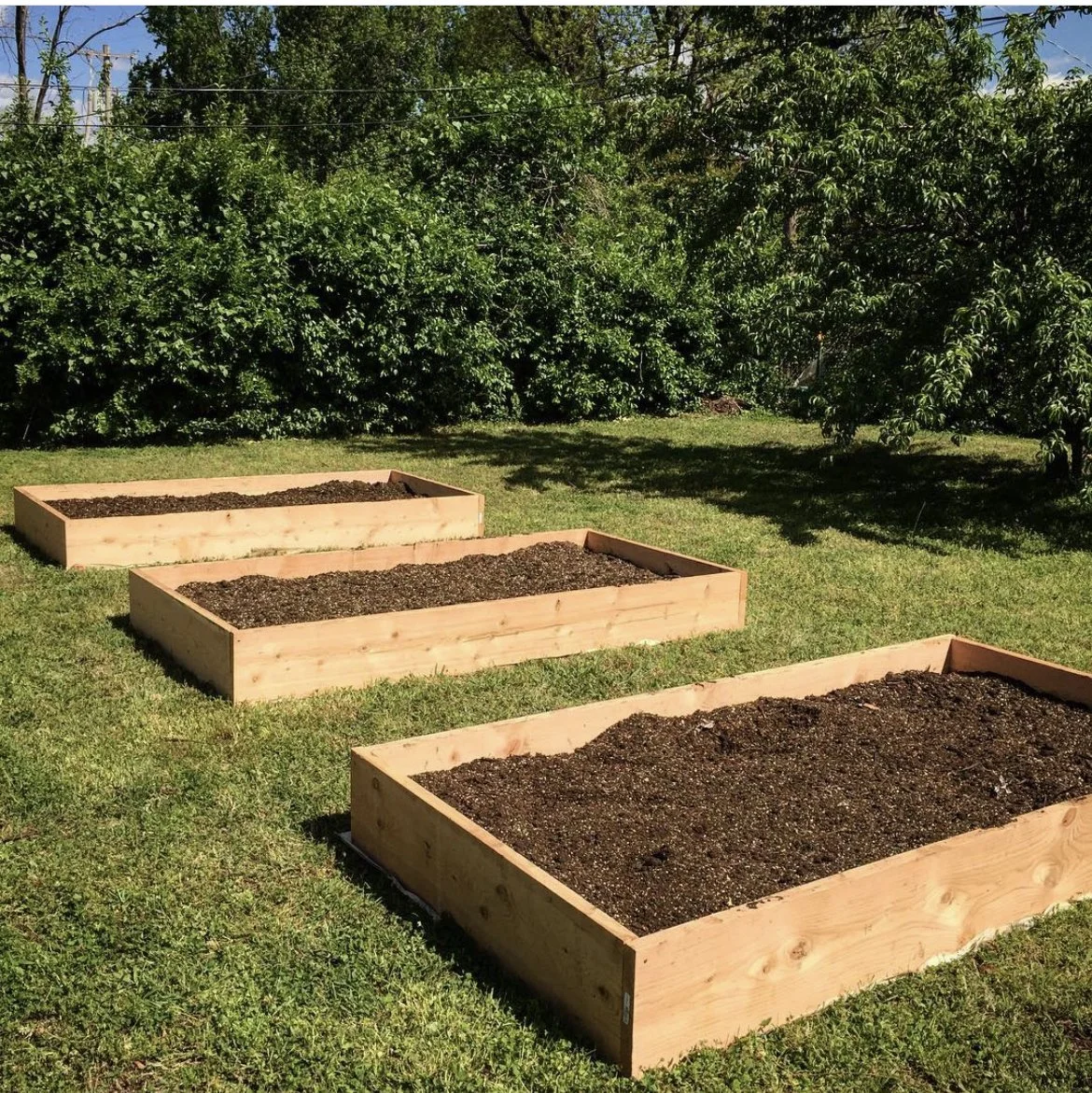 Soil 2.jpg