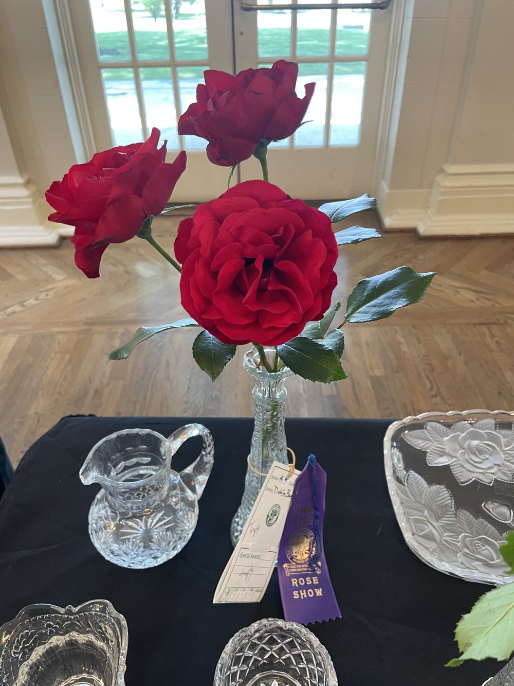 Leigh Taylor-Tulsa Rose Society Dublin Bay Rose