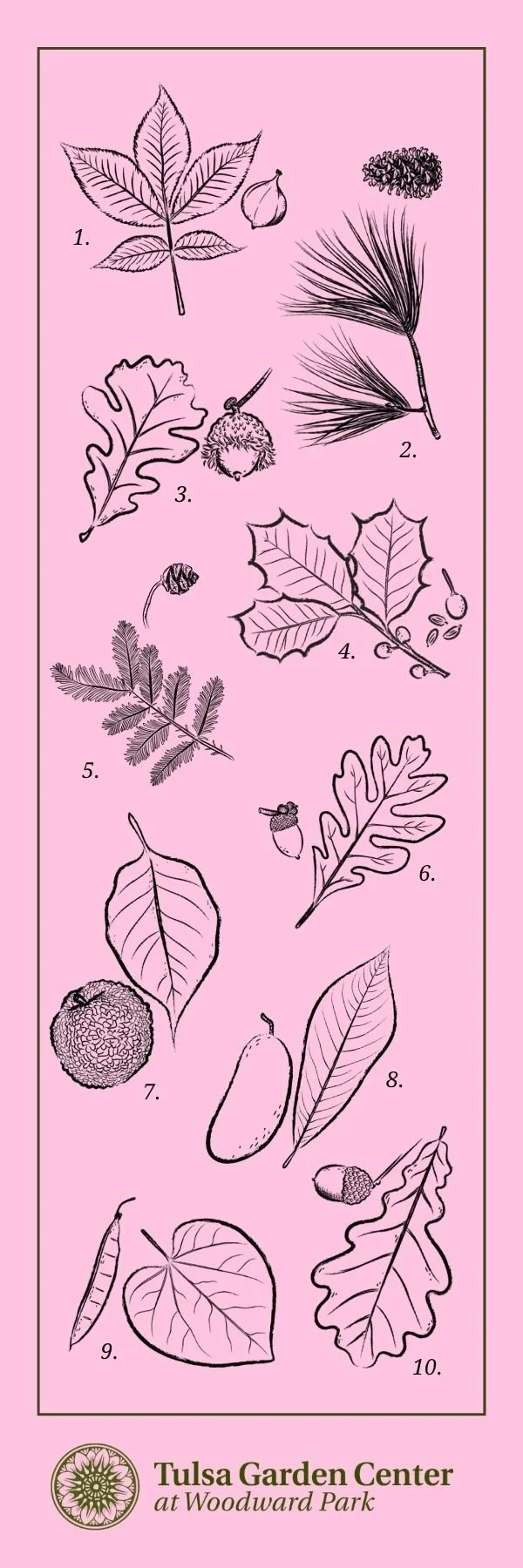 Bookmarks (1).jpg