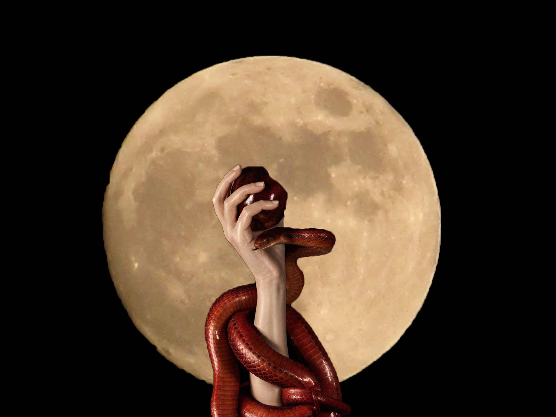 Full Moon in Sagittarius + Lilith + Grand Trine