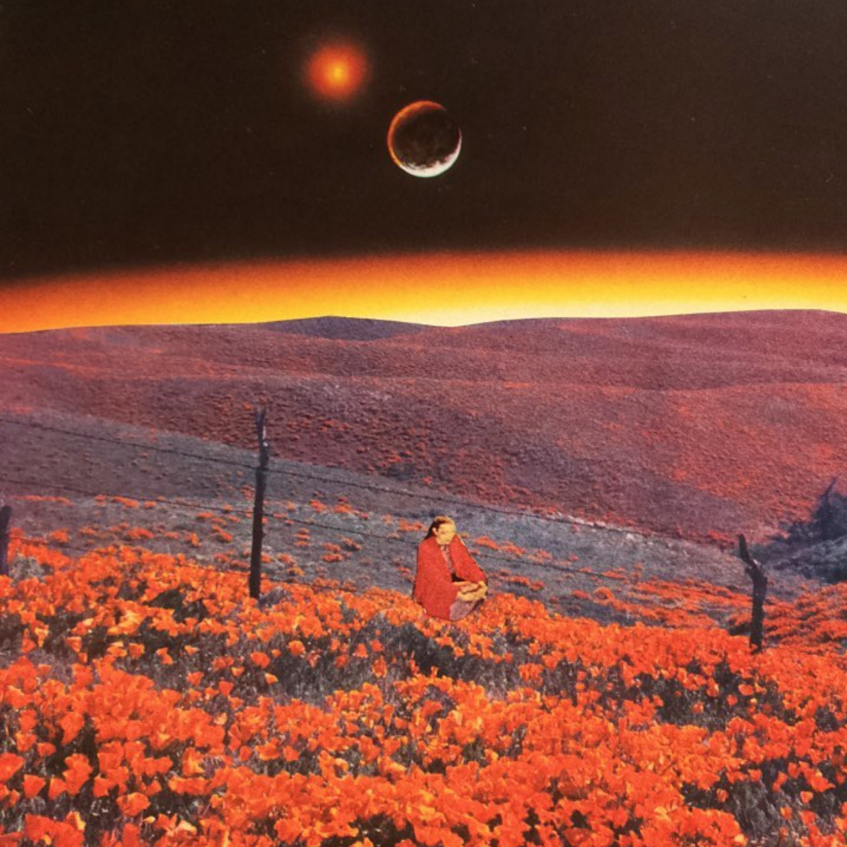 Mars Retrograde