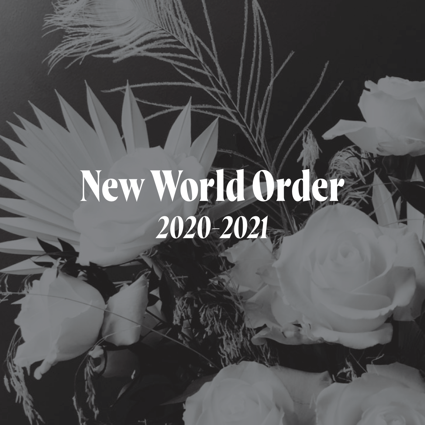 New World Order -  2020-2021