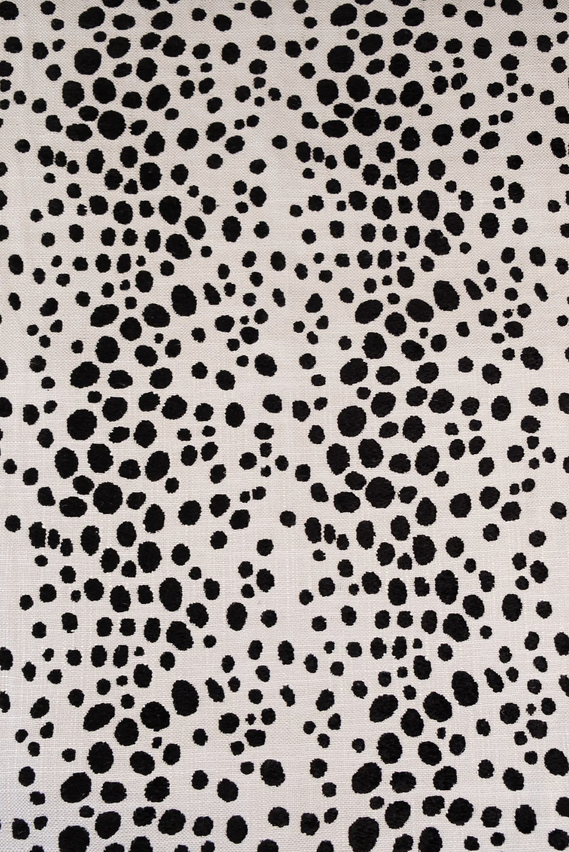 Cruella