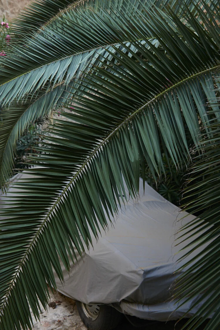 DSC_4055+1.jpg